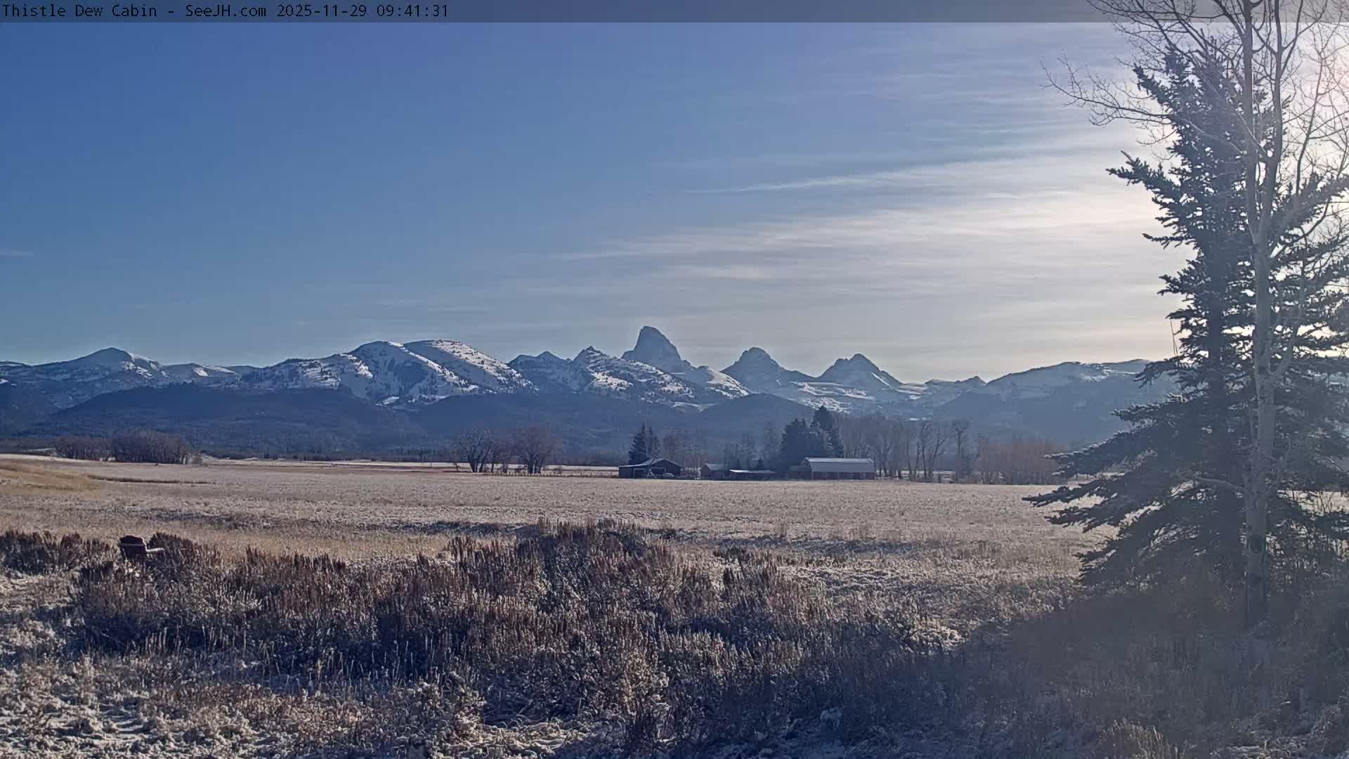 Grand Teton Mountains Peaks from Teton Valley Thistle Dew Cabin Live Cam - Tetonia, Teton, Idaho, USA