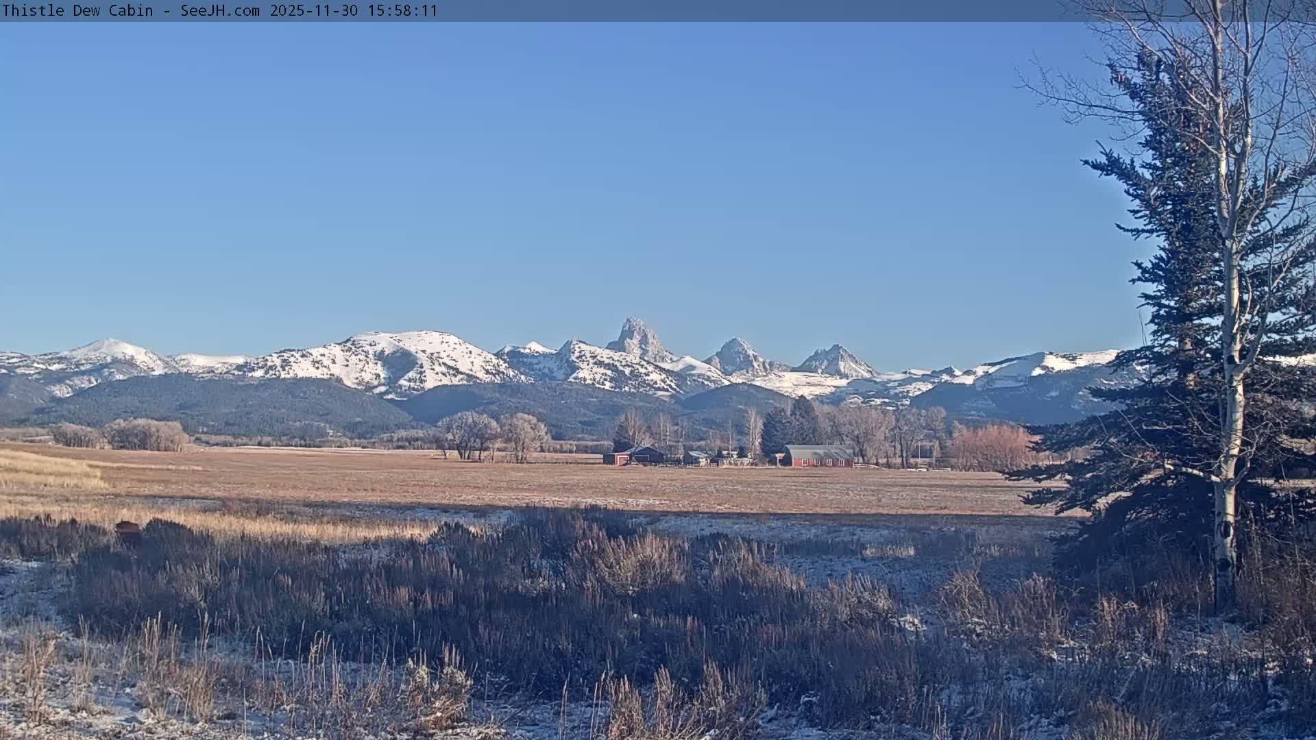 Grand Teton Mountains Peaks from Teton Valley Thistle Dew Cabin Live Cam - Tetonia, Teton, Idaho, USA