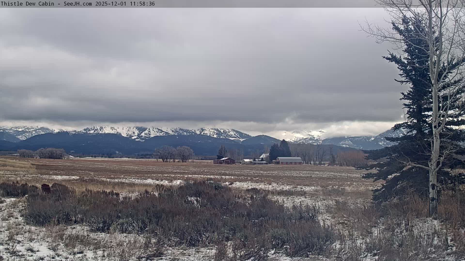 Grand Teton Mountains Peaks from Teton Valley Thistle Dew Cabin Live Cam - Tetonia, Teton, Idaho, USA