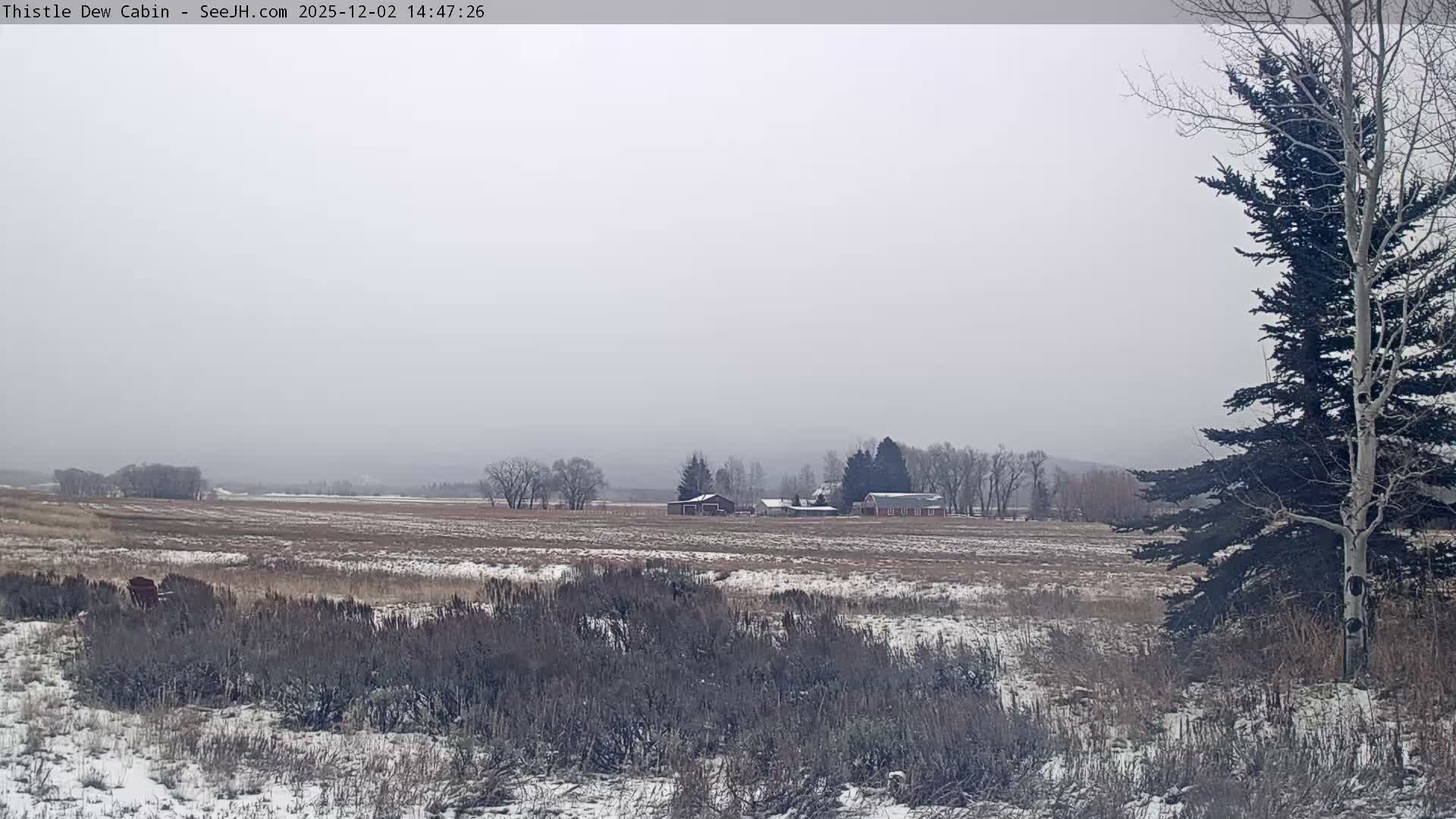 Grand Teton Mountains Peaks from Teton Valley Thistle Dew Cabin Live Cam - Tetonia, Teton, Idaho, USA