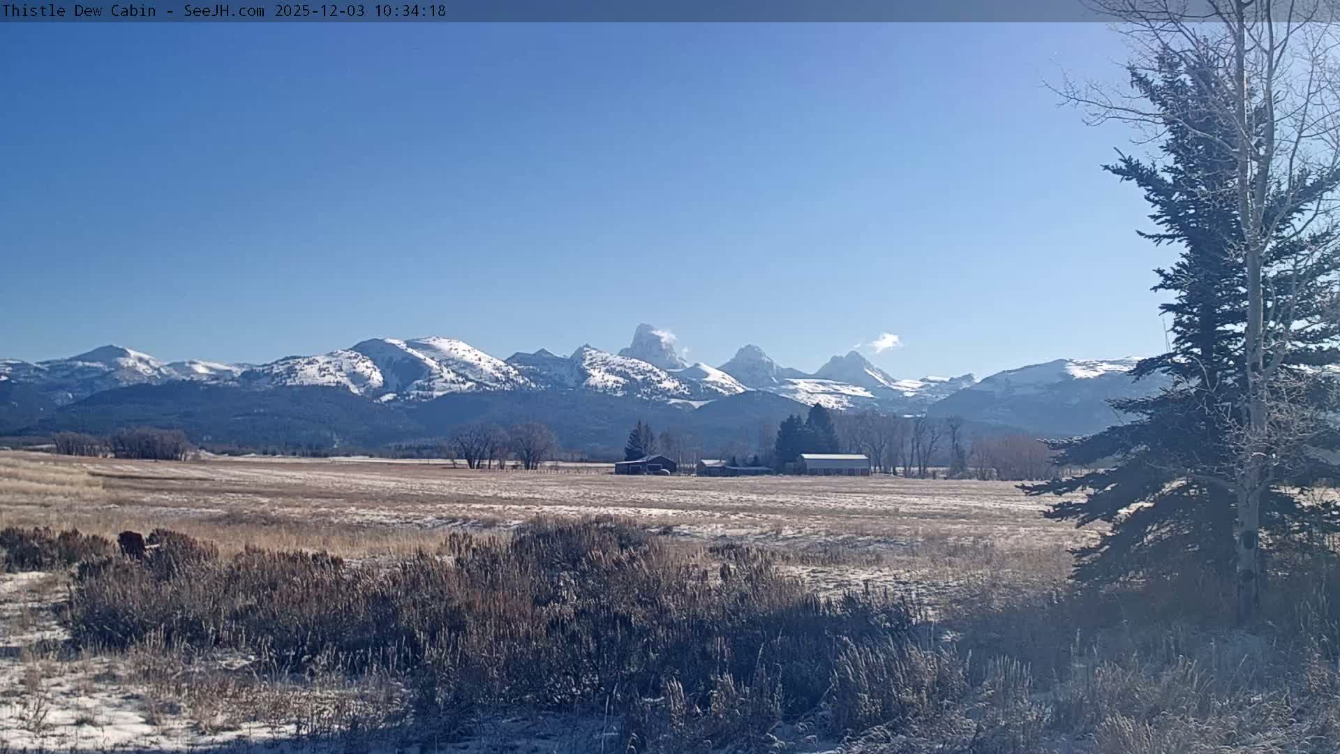 Grand Teton Mountains Peaks from Teton Valley Thistle Dew Cabin Live Cam - Tetonia, Teton, Idaho, USA