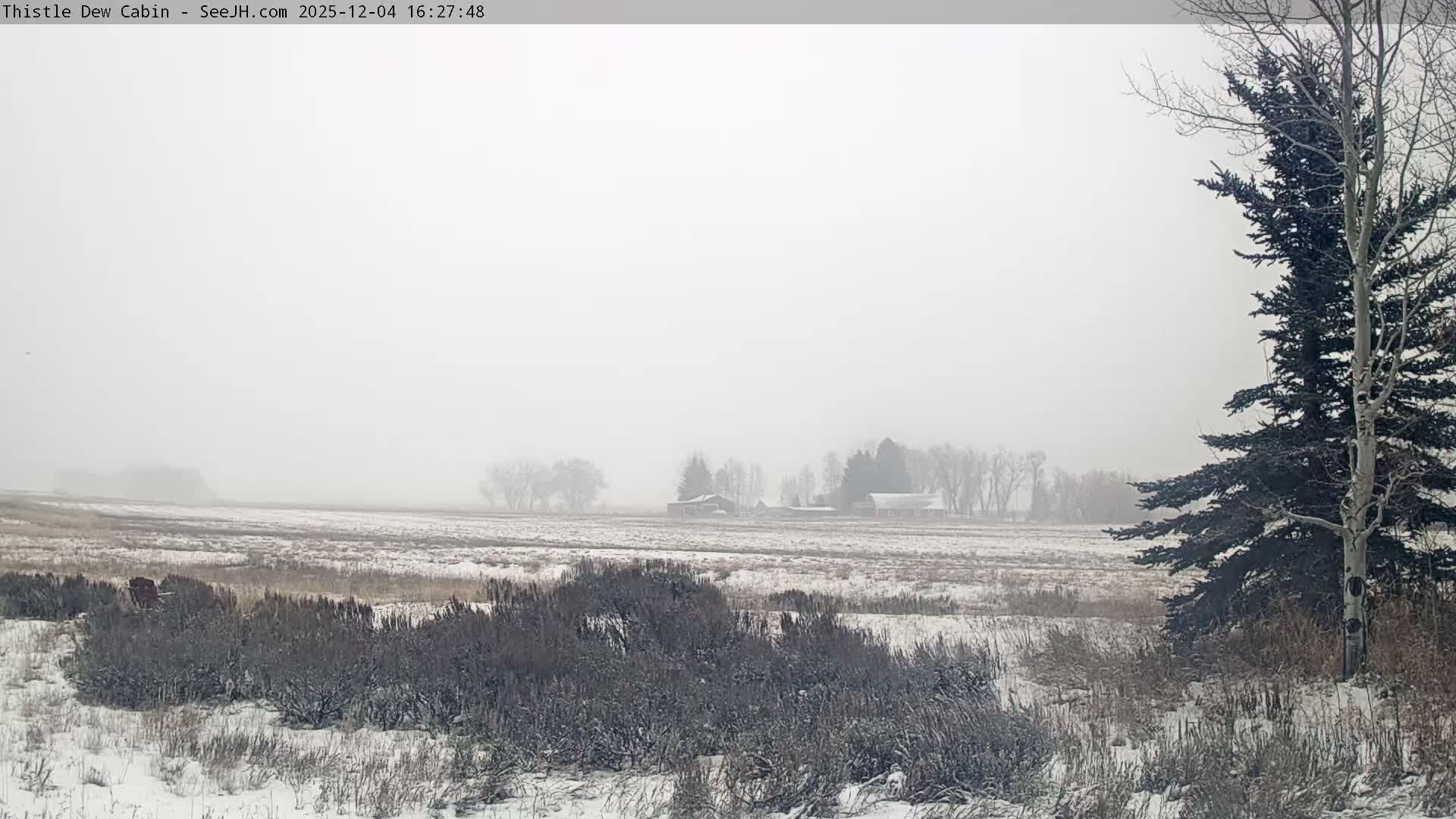 Grand Teton Mountains Peaks from Teton Valley Thistle Dew Cabin Live Cam - Tetonia, Teton, Idaho, USA