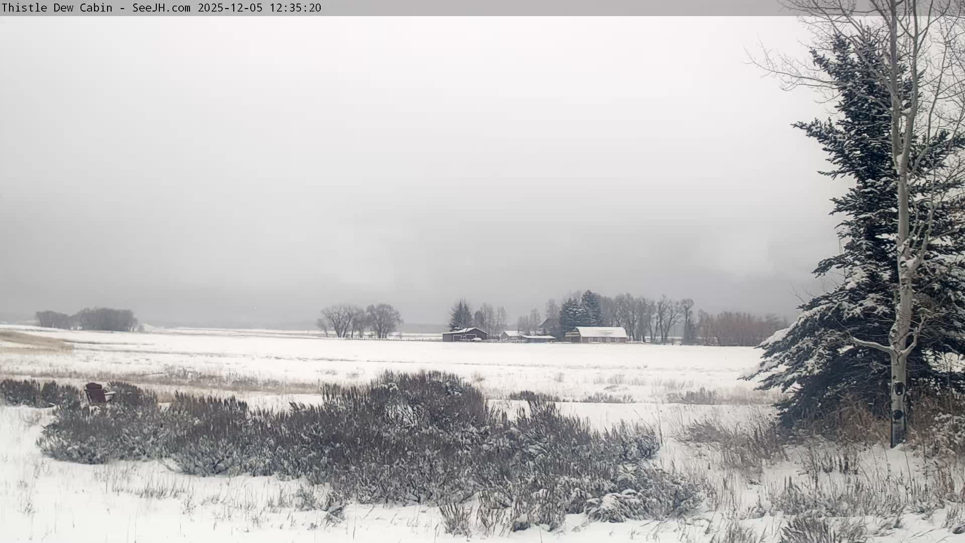 Grand Teton Mountains Peaks from Teton Valley Thistle Dew Cabin Live Cam - Tetonia, Teton, Idaho, USA