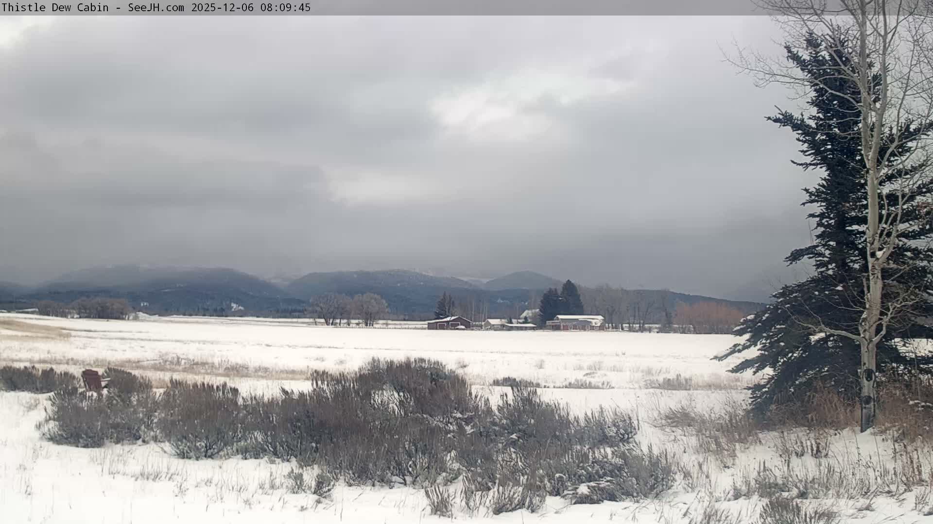 Grand Teton Mountains Peaks from Teton Valley Thistle Dew Cabin Live Cam - Tetonia, Teton, Idaho, USA
