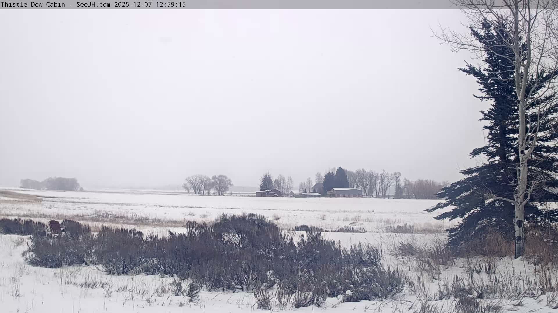 Grand Teton Mountains Peaks from Teton Valley Thistle Dew Cabin Live Cam - Tetonia, Teton, Idaho, USA