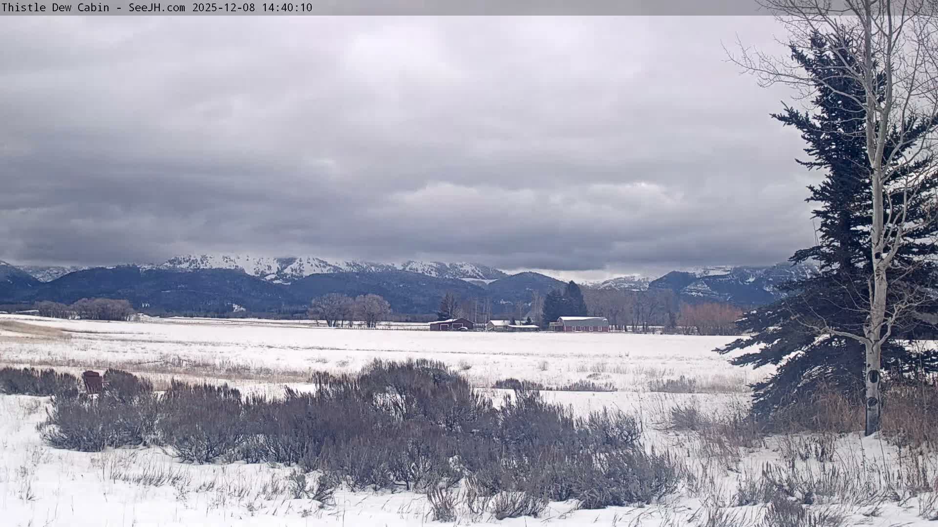 Grand Teton Mountains Peaks from Teton Valley Thistle Dew Cabin Live Cam - Tetonia, Teton, Idaho, USA