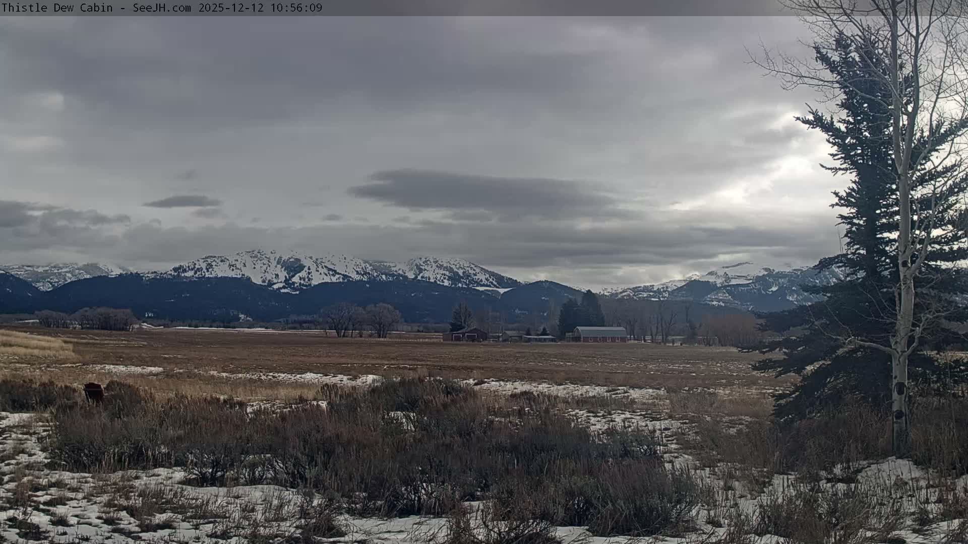 Grand Teton Mountains Peaks from Teton Valley Thistle Dew Cabin Live Cam - Tetonia, Teton, Idaho, USA