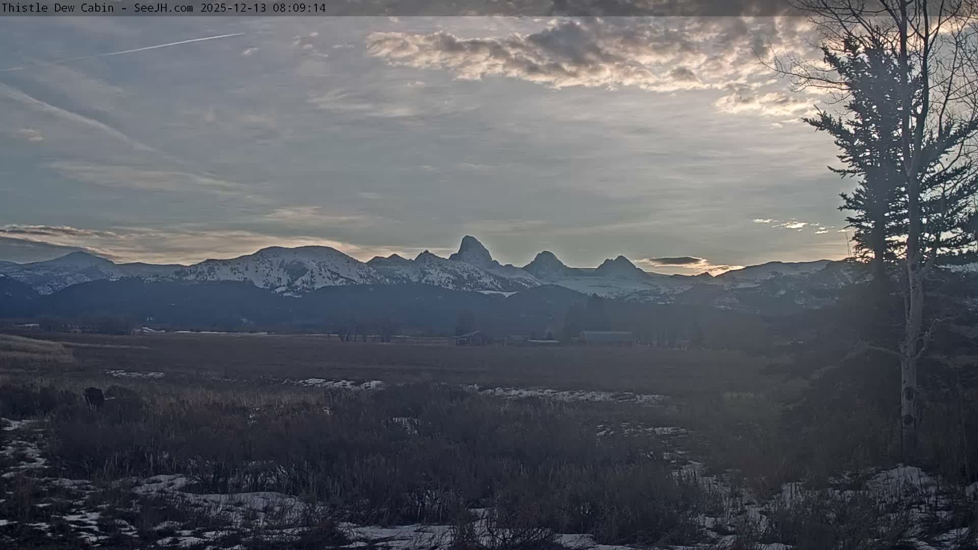 Grand Teton Mountains Peaks from Teton Valley Thistle Dew Cabin Live Cam - Tetonia, Teton, Idaho, USA