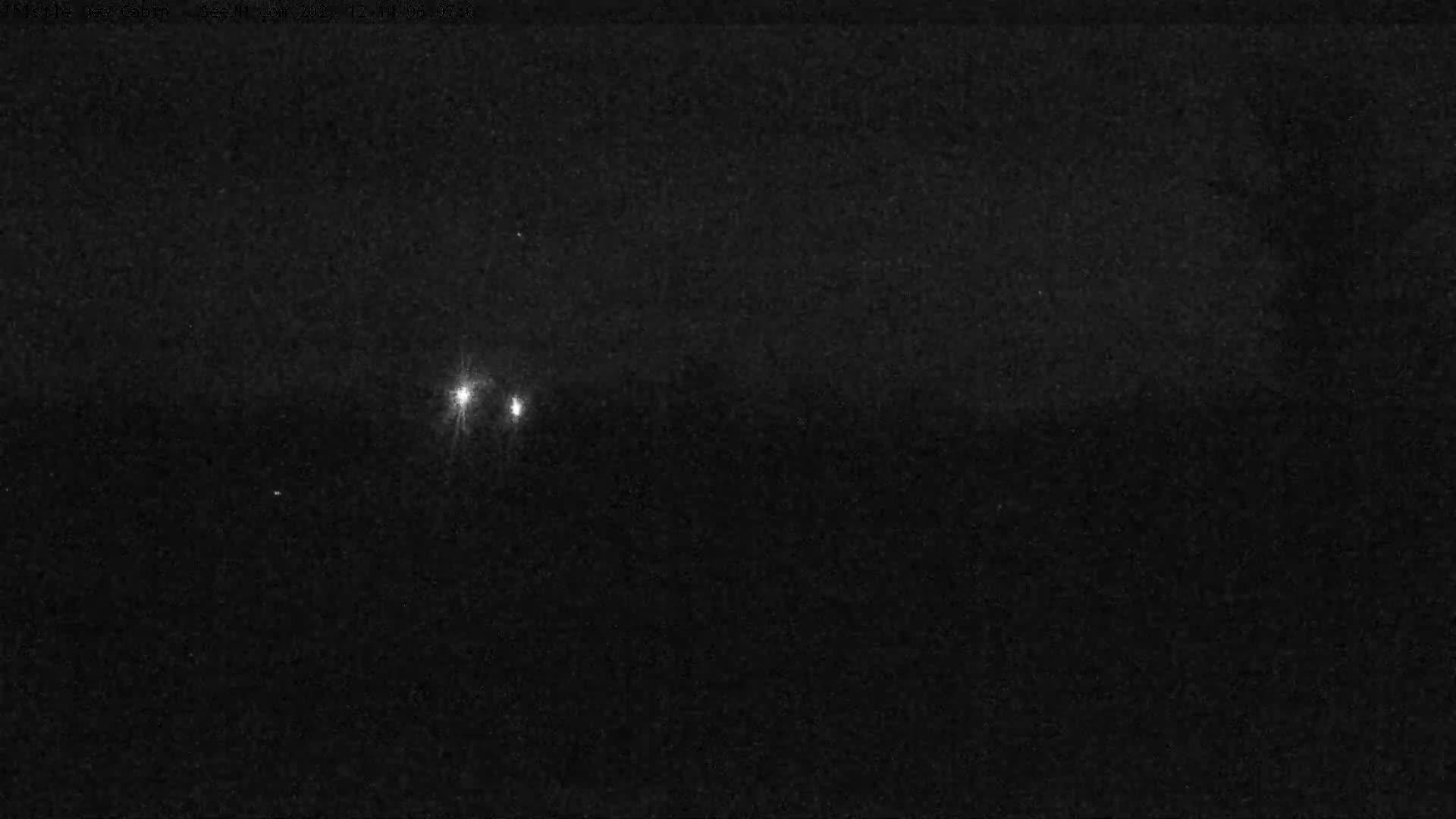 A grainy, grayscale outdoor scene reveals a snow-covered landscape with a large evergreen tree on the right and faint distant structures, all under conditions of active snowfall or dense fog that cause extremely low visibility.