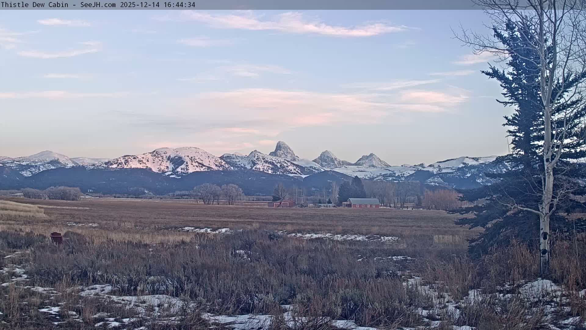Grand Teton Mountains Peaks from Teton Valley Thistle Dew Cabin Live Cam - Tetonia, Teton, Idaho, USA