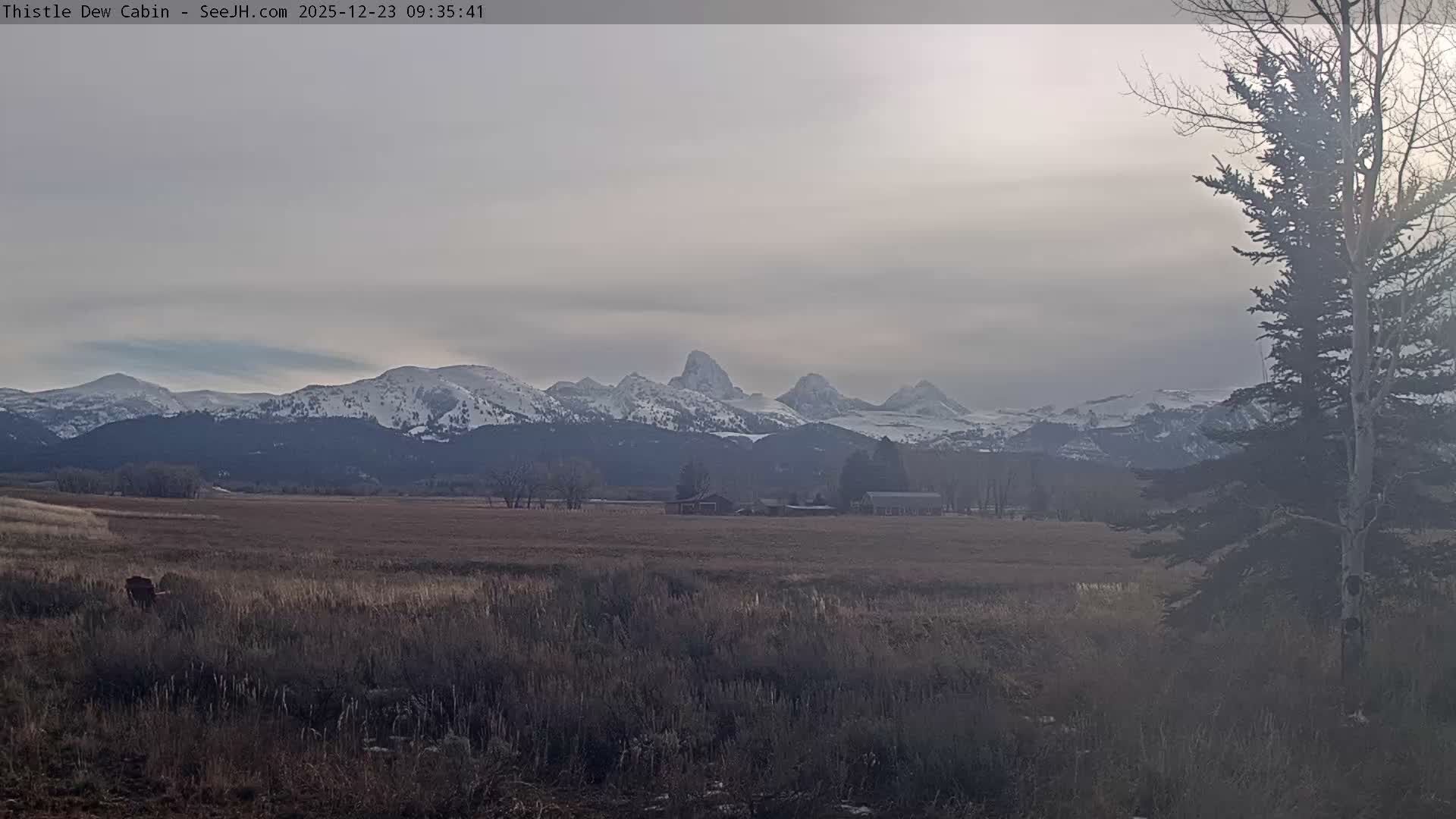 Grand Teton Mountains Peaks from Teton Valley Thistle Dew Cabin Live Cam - Tetonia, Teton, Idaho, USA