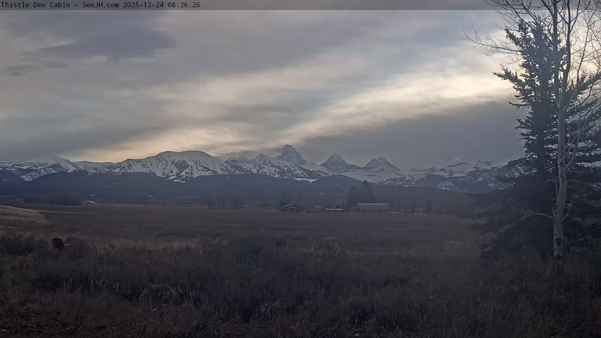 Grand Teton Mountains Peaks from Teton Valley Thistle Dew Cabin Live Cam - Tetonia, Teton, Idaho, USA