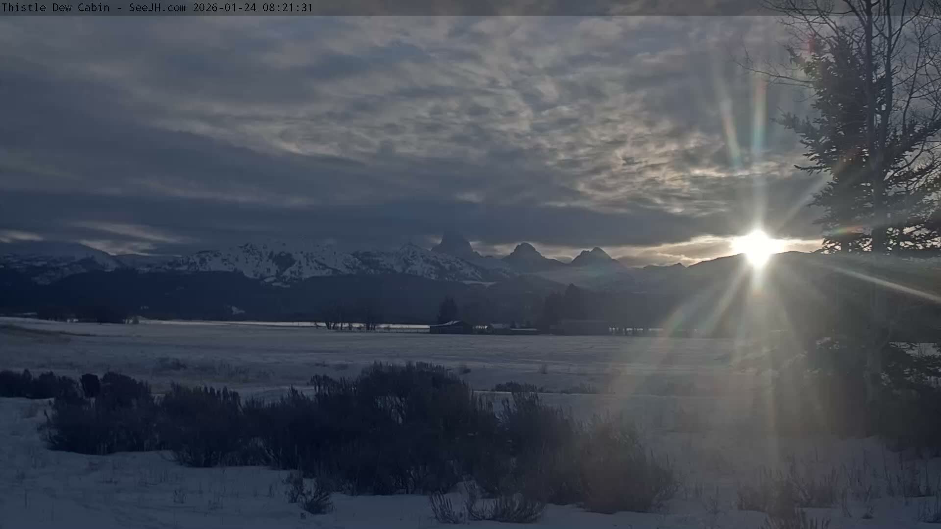 Grand Teton Mountains Peaks from Teton Valley Thistle Dew Cabin Live Cam - Tetonia, Teton, Idaho, USA