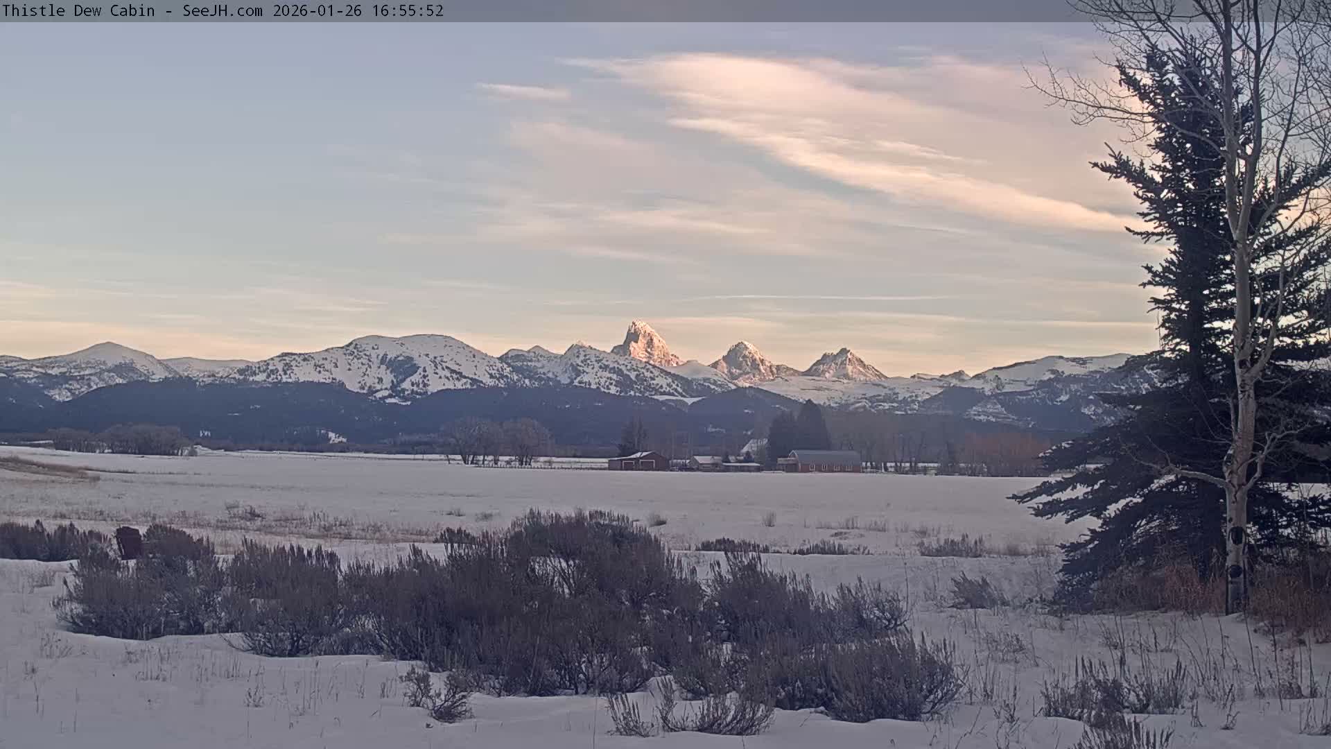 Grand Teton Mountains Peaks from Teton Valley Thistle Dew Cabin Live Cam - Tetonia, Teton, Idaho, USA