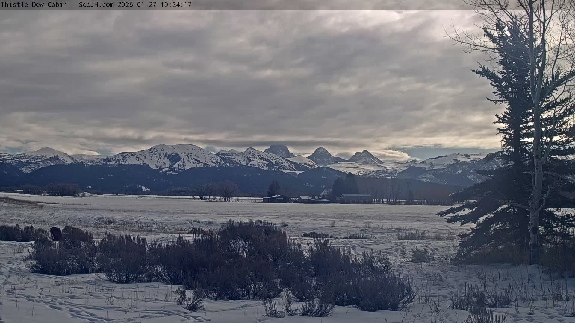 Grand Teton Mountains Peaks from Teton Valley Thistle Dew Cabin Live Cam - Tetonia, Teton, Idaho, USA