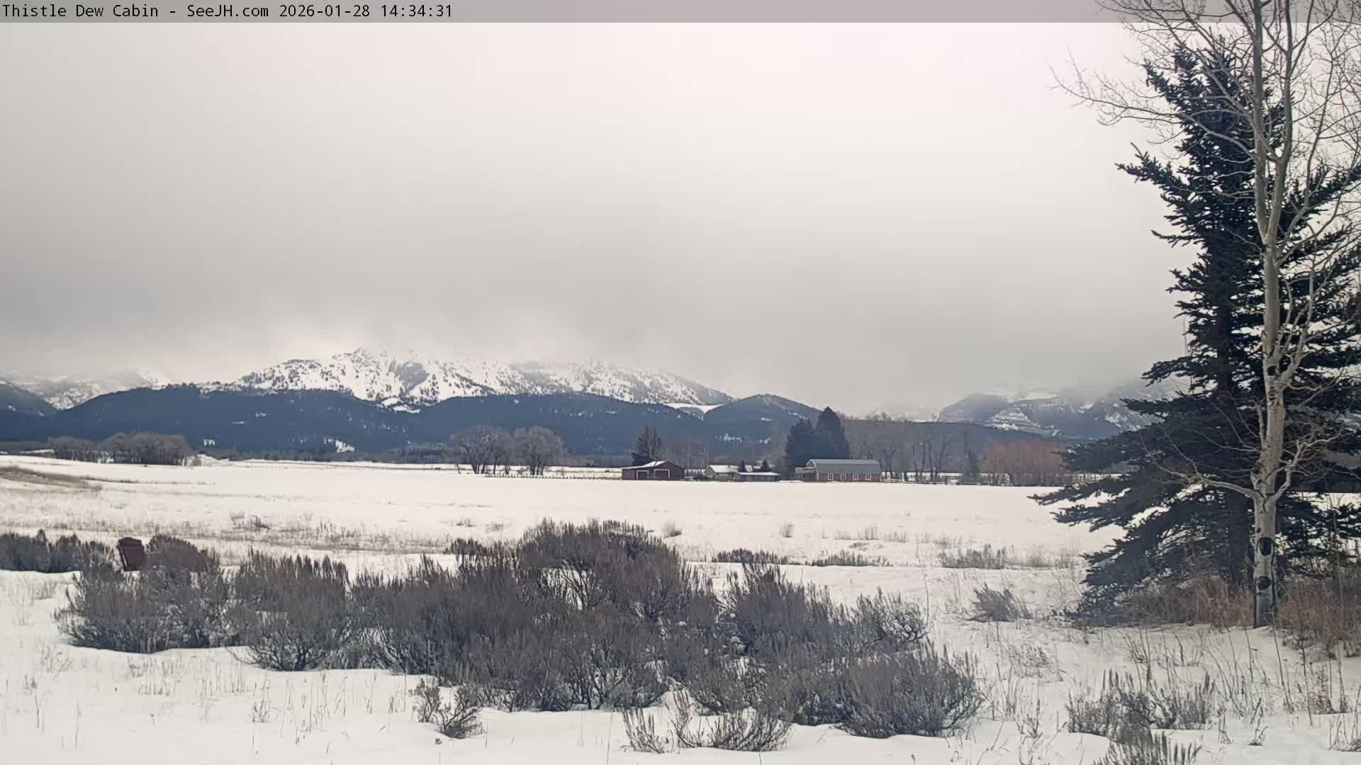 Grand Teton Mountains Peaks from Teton Valley Thistle Dew Cabin Live Cam - Tetonia, Teton, Idaho, USA