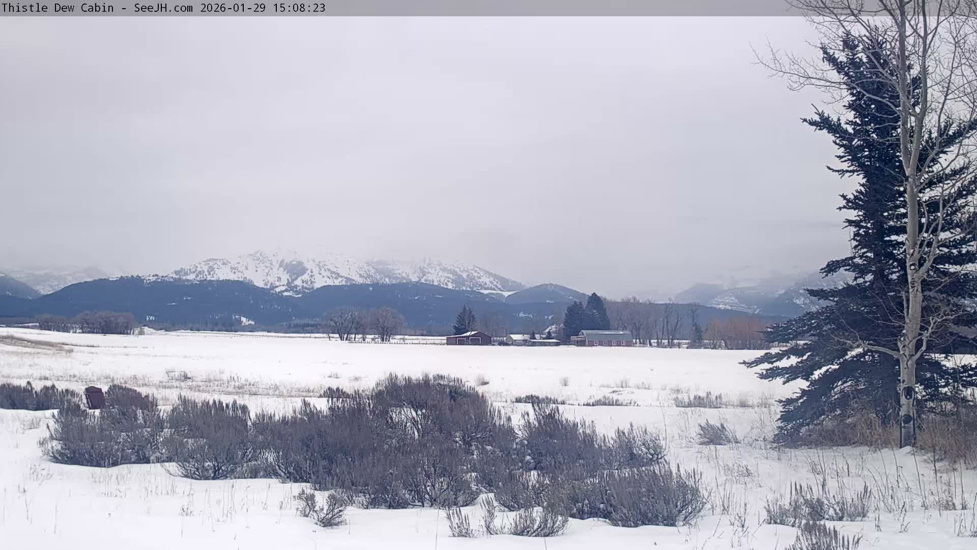 Grand Teton Mountains Peaks from Teton Valley Thistle Dew Cabin Live Cam - Tetonia, Teton, Idaho, USA