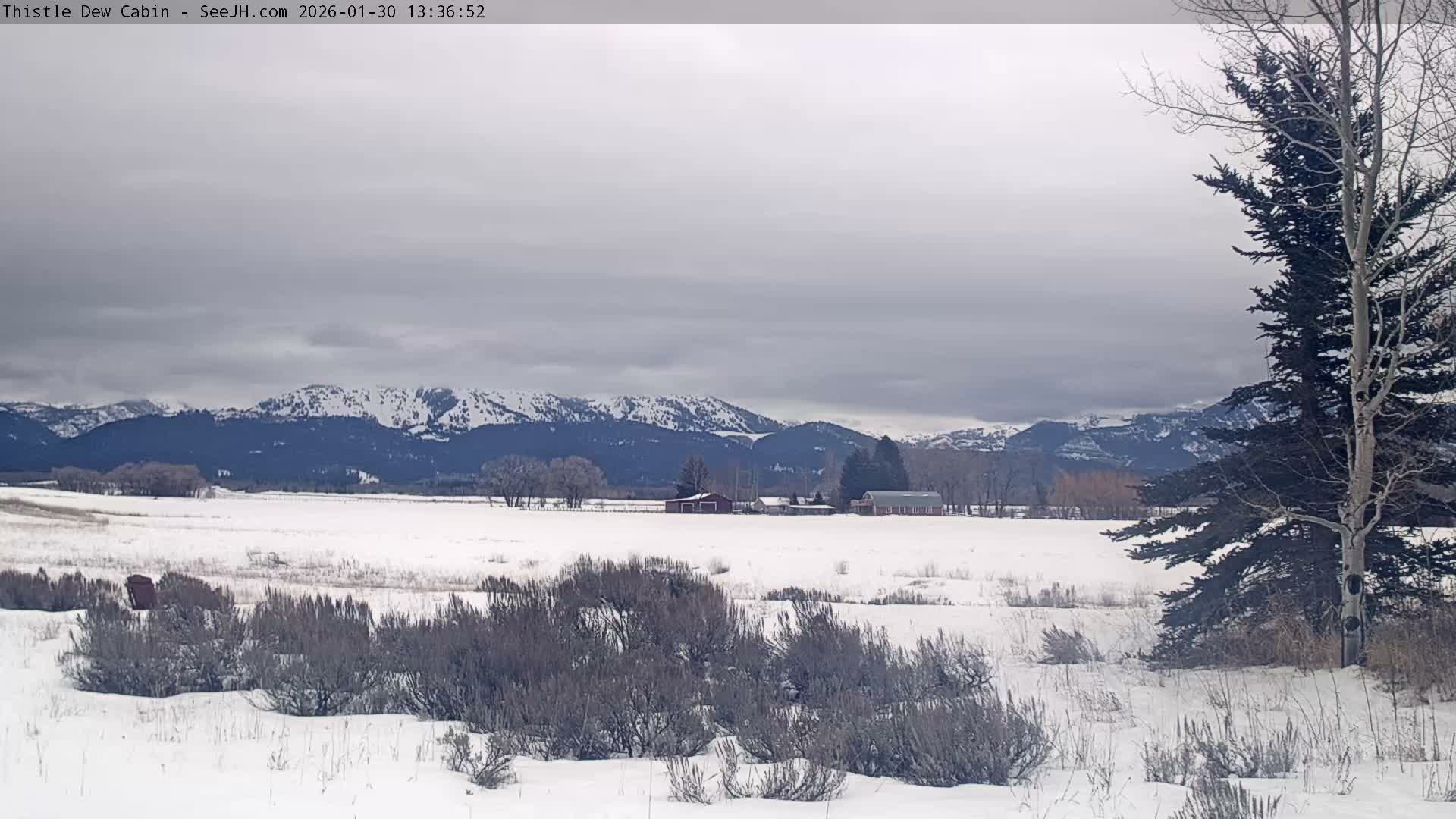 Grand Teton Mountains Peaks from Teton Valley Thistle Dew Cabin Live Cam - Tetonia, Teton, Idaho, USA