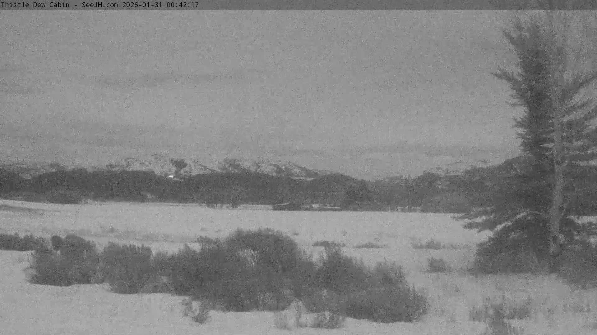 Grand Teton Mountains Peaks from Teton Valley Thistle Dew Cabin Live Cam - Tetonia, Teton, Idaho, USA