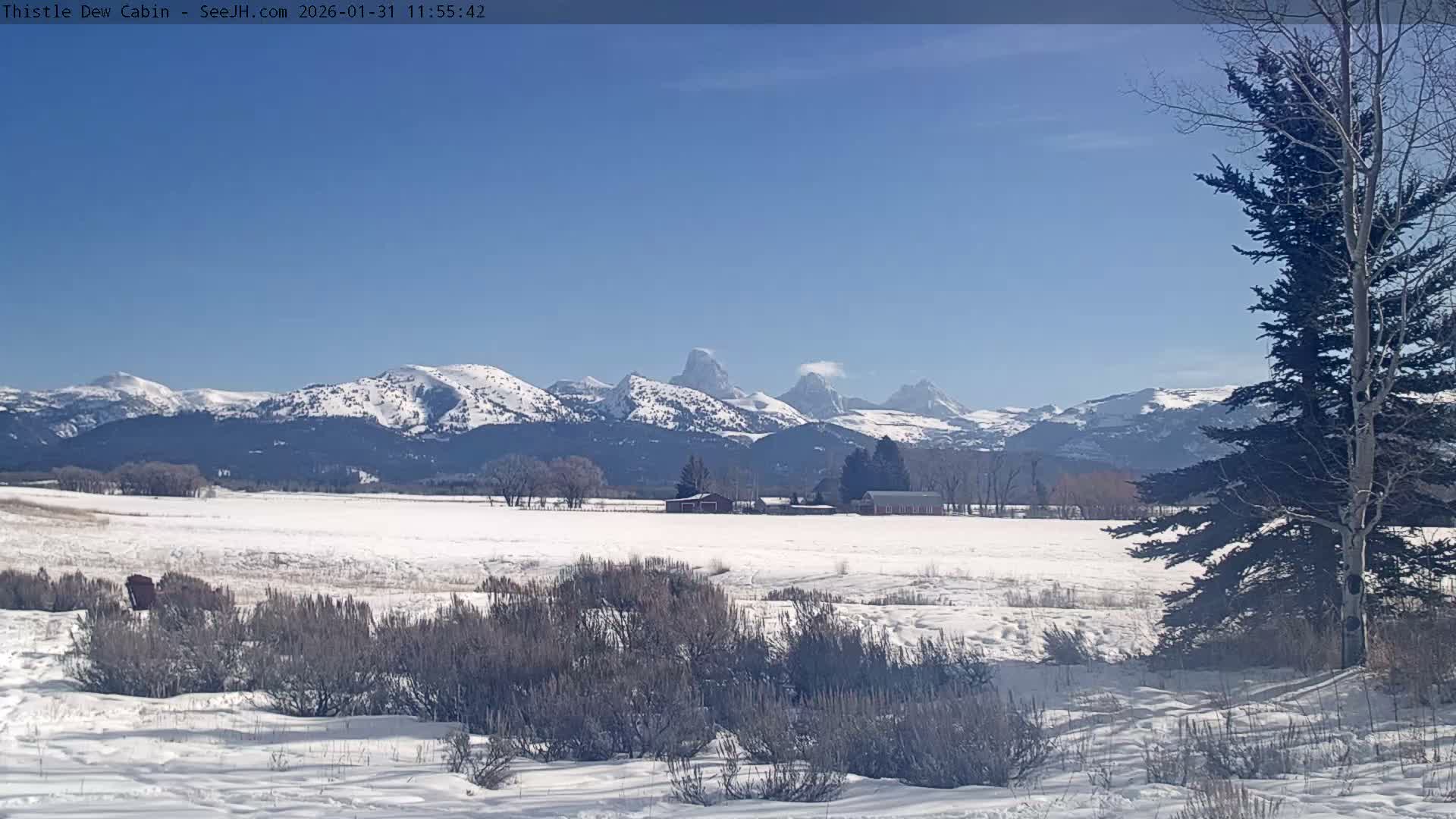 Grand Teton Mountains Peaks from Teton Valley Thistle Dew Cabin Live Cam - Tetonia, Teton, Idaho, USA