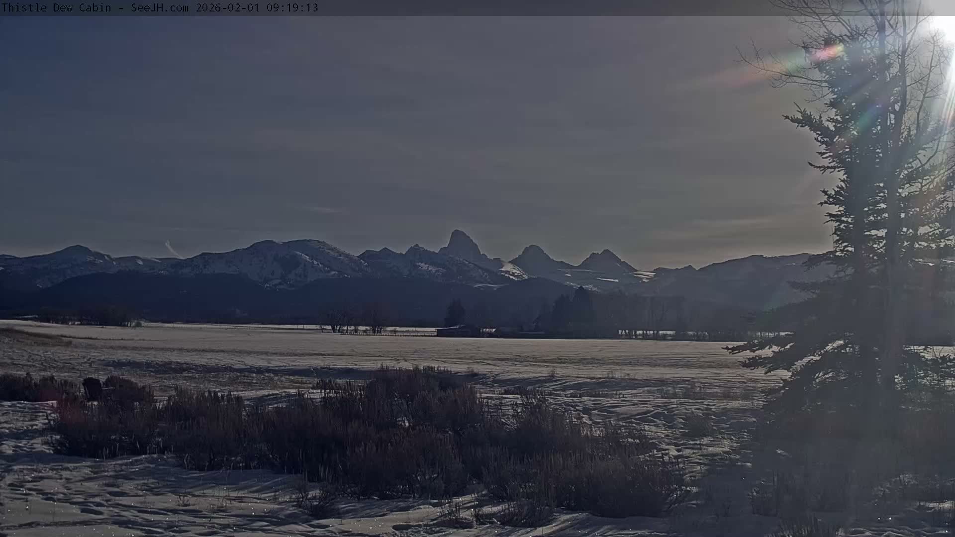 Grand Teton Mountains Peaks from Teton Valley Thistle Dew Cabin Live Cam - Tetonia, Teton, Idaho, USA
