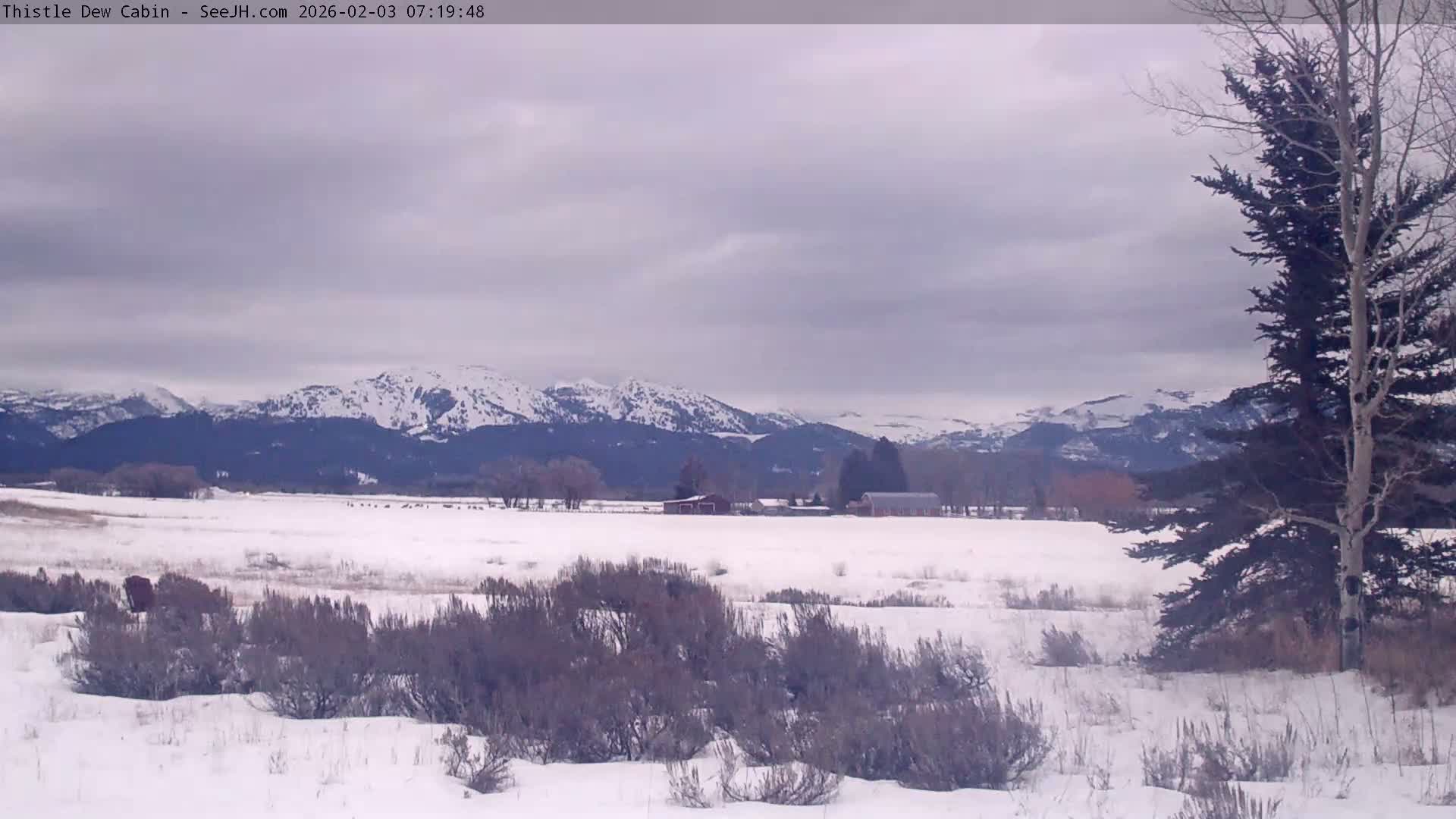Grand Teton Mountains Peaks from Teton Valley Thistle Dew Cabin Live Cam - Tetonia, Teton, Idaho, USA