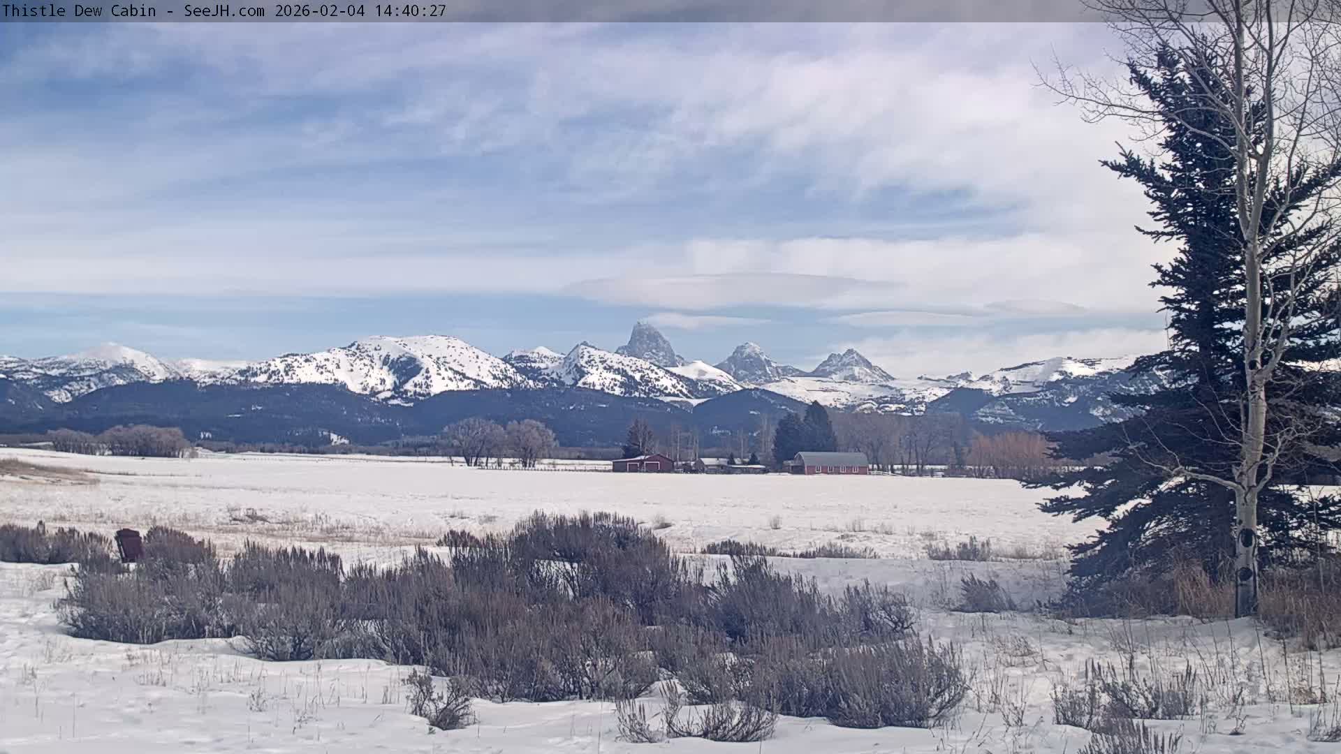 Grand Teton Mountains Peaks from Teton Valley Thistle Dew Cabin Live Cam - Tetonia, Teton, Idaho, USA