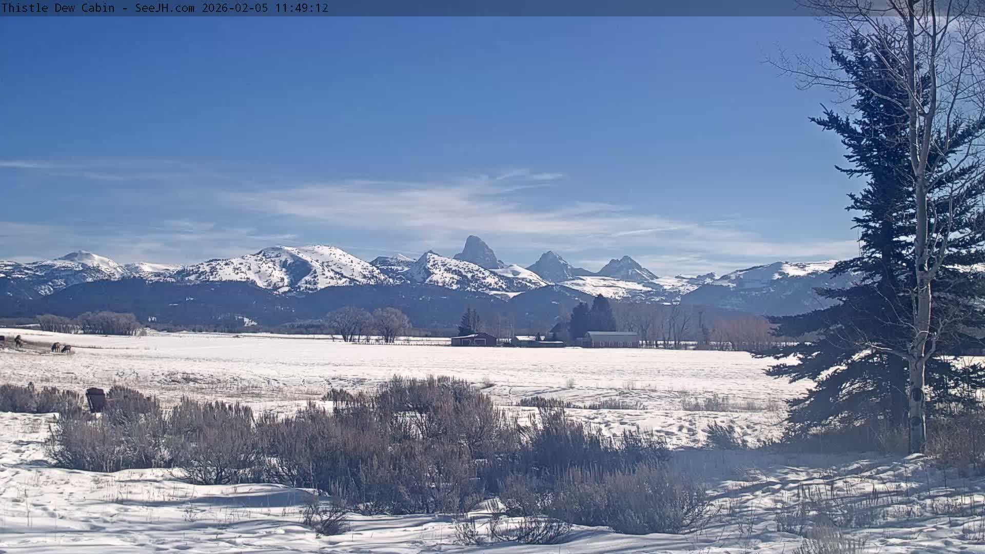 Grand Teton Mountains Peaks from Teton Valley Thistle Dew Cabin Live Cam - Tetonia, Teton, Idaho, USA