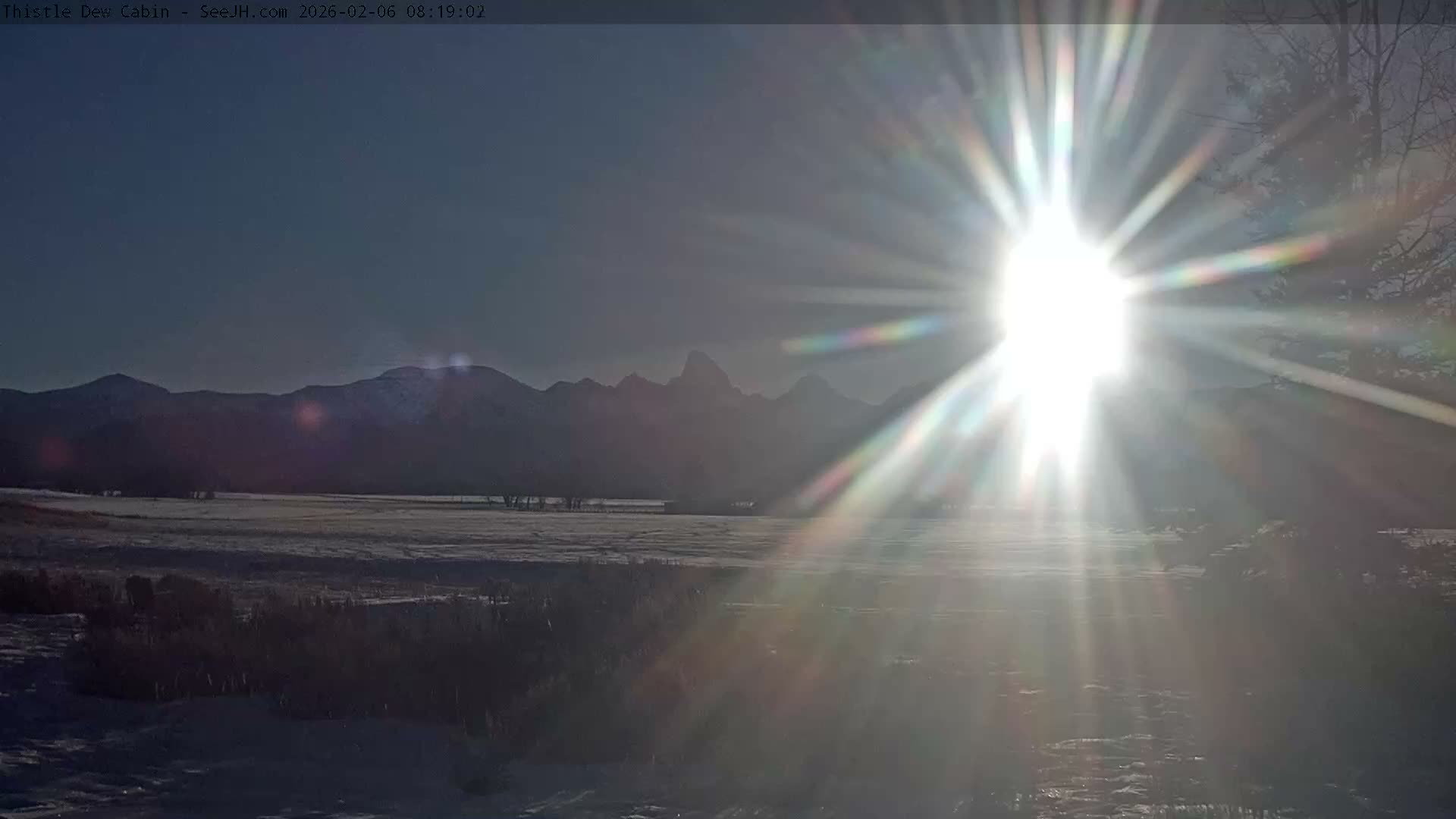 Grand Teton Mountains Peaks from Teton Valley Thistle Dew Cabin Live Cam - Tetonia, Teton, Idaho, USA