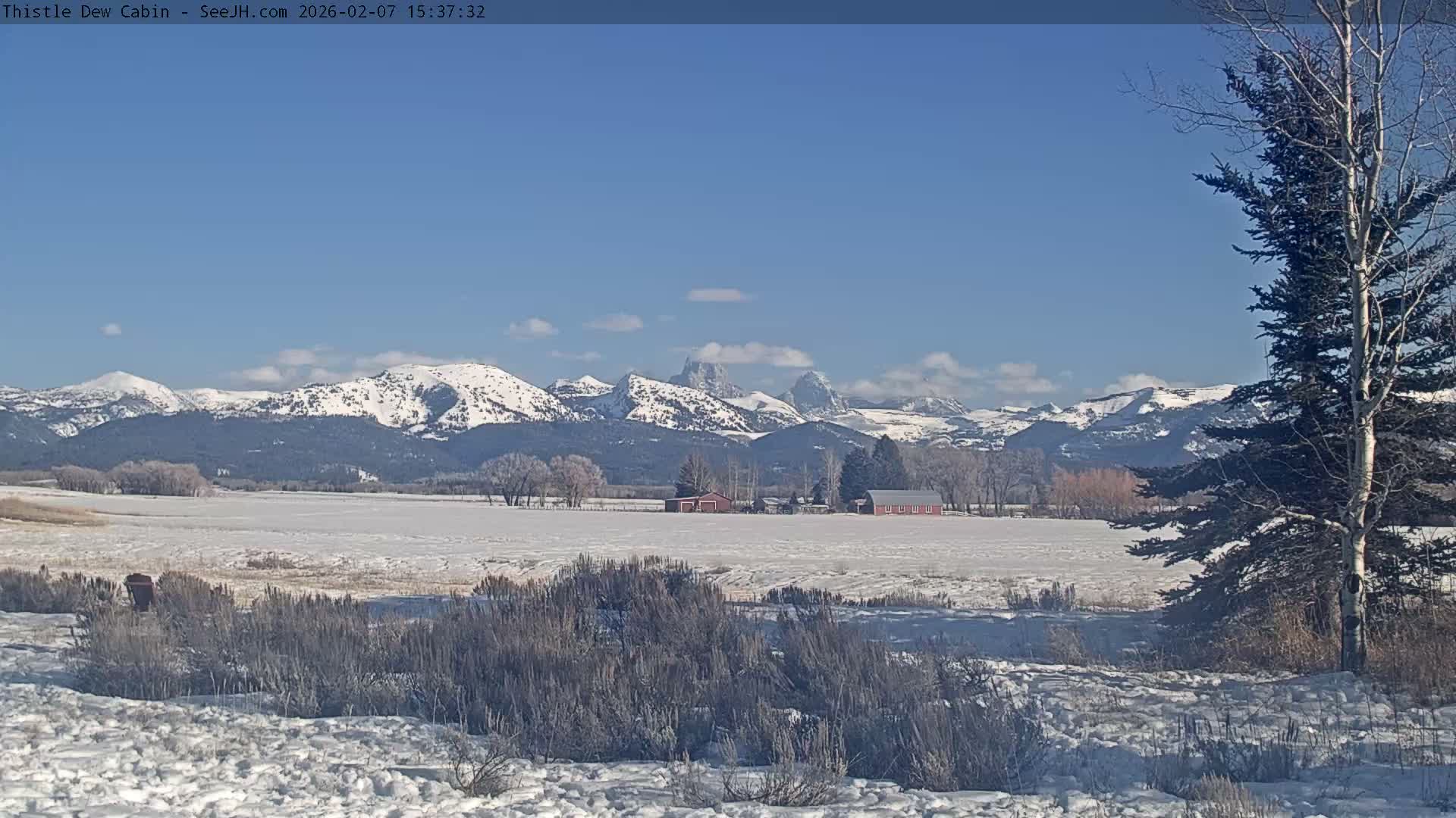 Grand Teton Mountains Peaks from Teton Valley Thistle Dew Cabin Live Cam - Tetonia, Teton, Idaho, USA