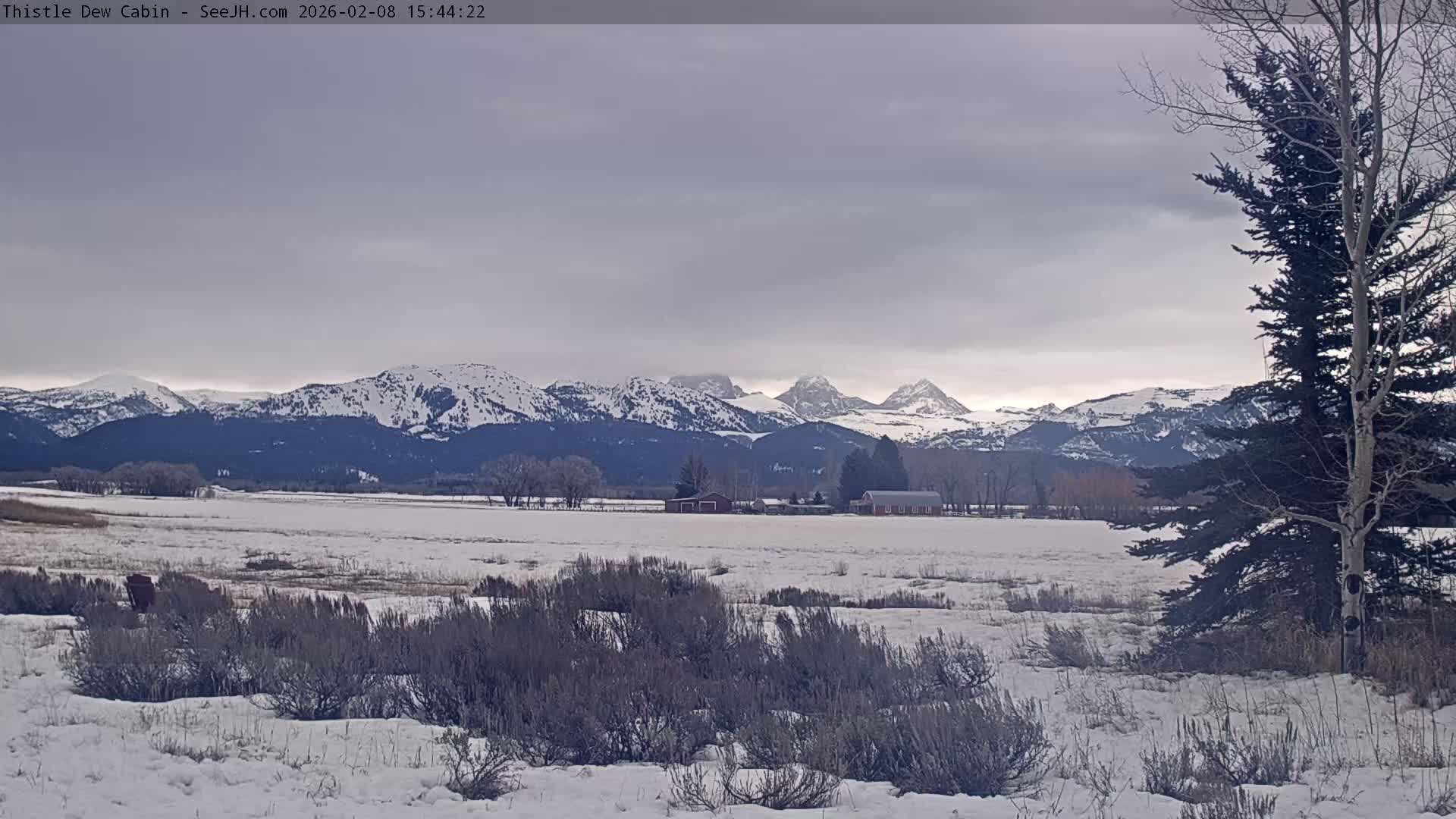 Grand Teton Mountains Peaks from Teton Valley Thistle Dew Cabin Live Cam - Tetonia, Teton, Idaho, USA