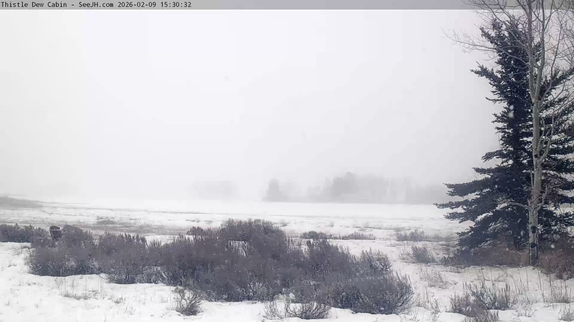 Grand Teton Mountains Peaks from Teton Valley Thistle Dew Cabin Live Cam - Tetonia, Teton, Idaho, USA