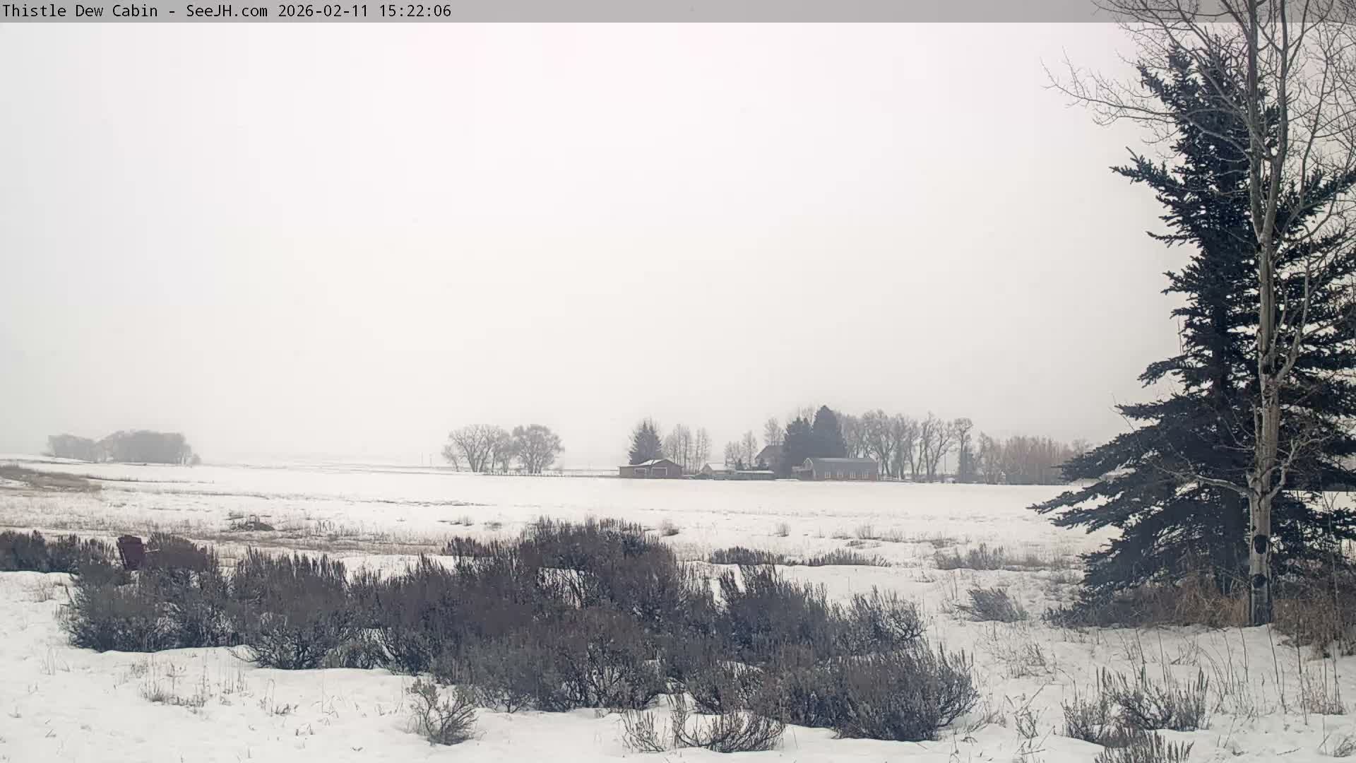 Grand Teton Mountains Peaks from Teton Valley Thistle Dew Cabin Live Cam - Tetonia, Teton, Idaho, USA