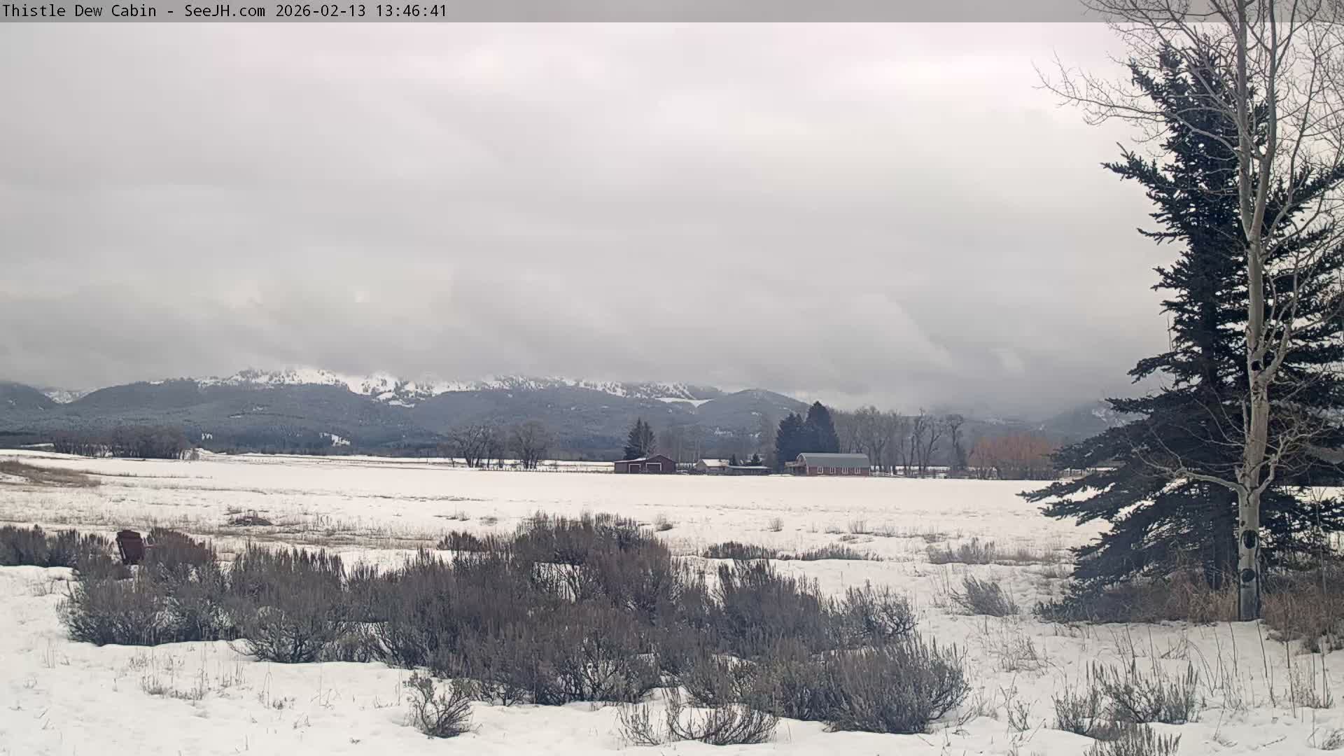 Grand Teton Mountains Peaks from Teton Valley Thistle Dew Cabin Live Cam - Tetonia, Teton, Idaho, USA