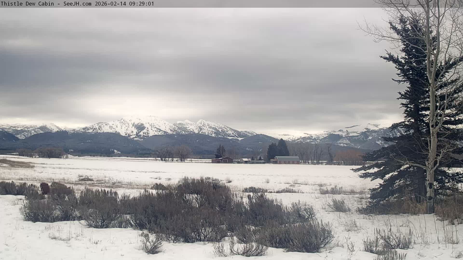 Grand Teton Mountains Peaks from Teton Valley Thistle Dew Cabin Live Cam - Tetonia, Teton, Idaho, USA
