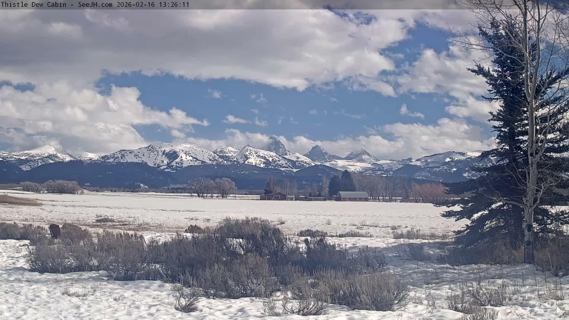 Grand Teton Mountains Peaks from Teton Valley Thistle Dew Cabin Live Cam - Tetonia, Teton, Idaho, USA