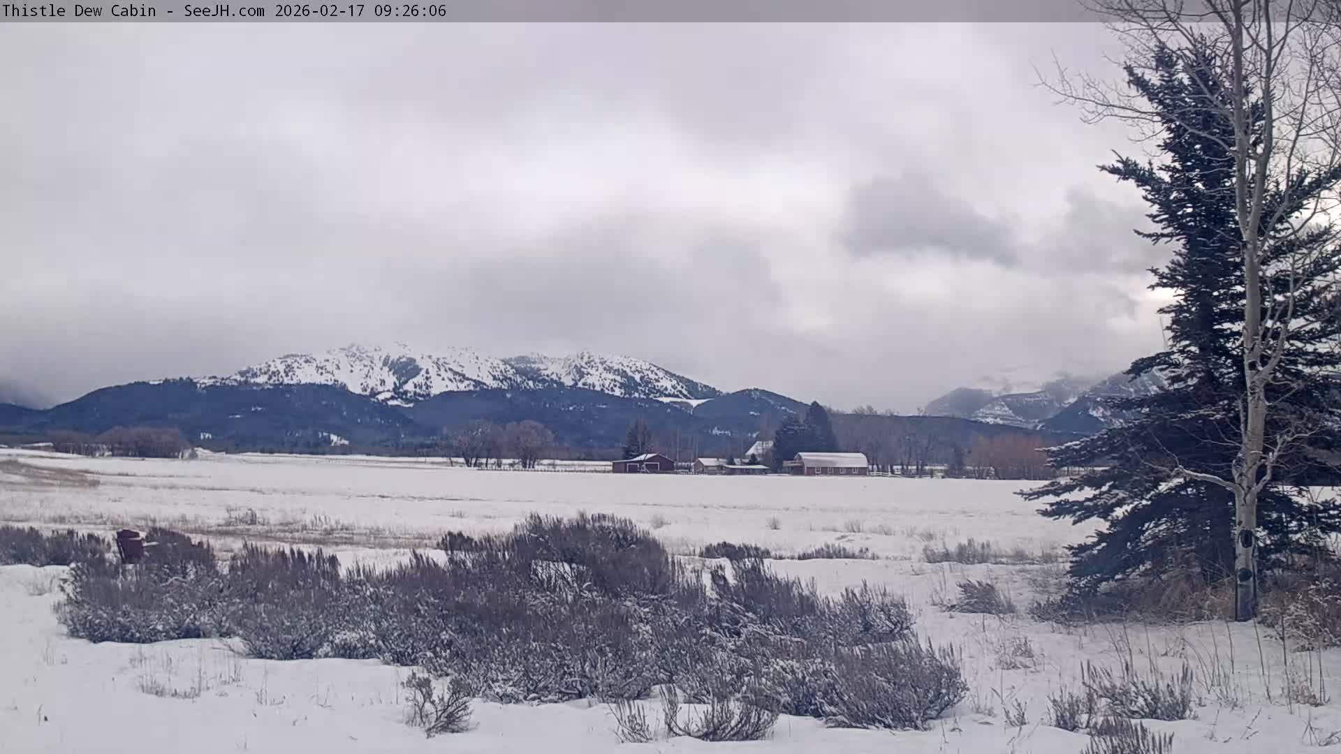 Grand Teton Mountains Peaks from Teton Valley Thistle Dew Cabin Live Cam - Tetonia, Teton, Idaho, USA
