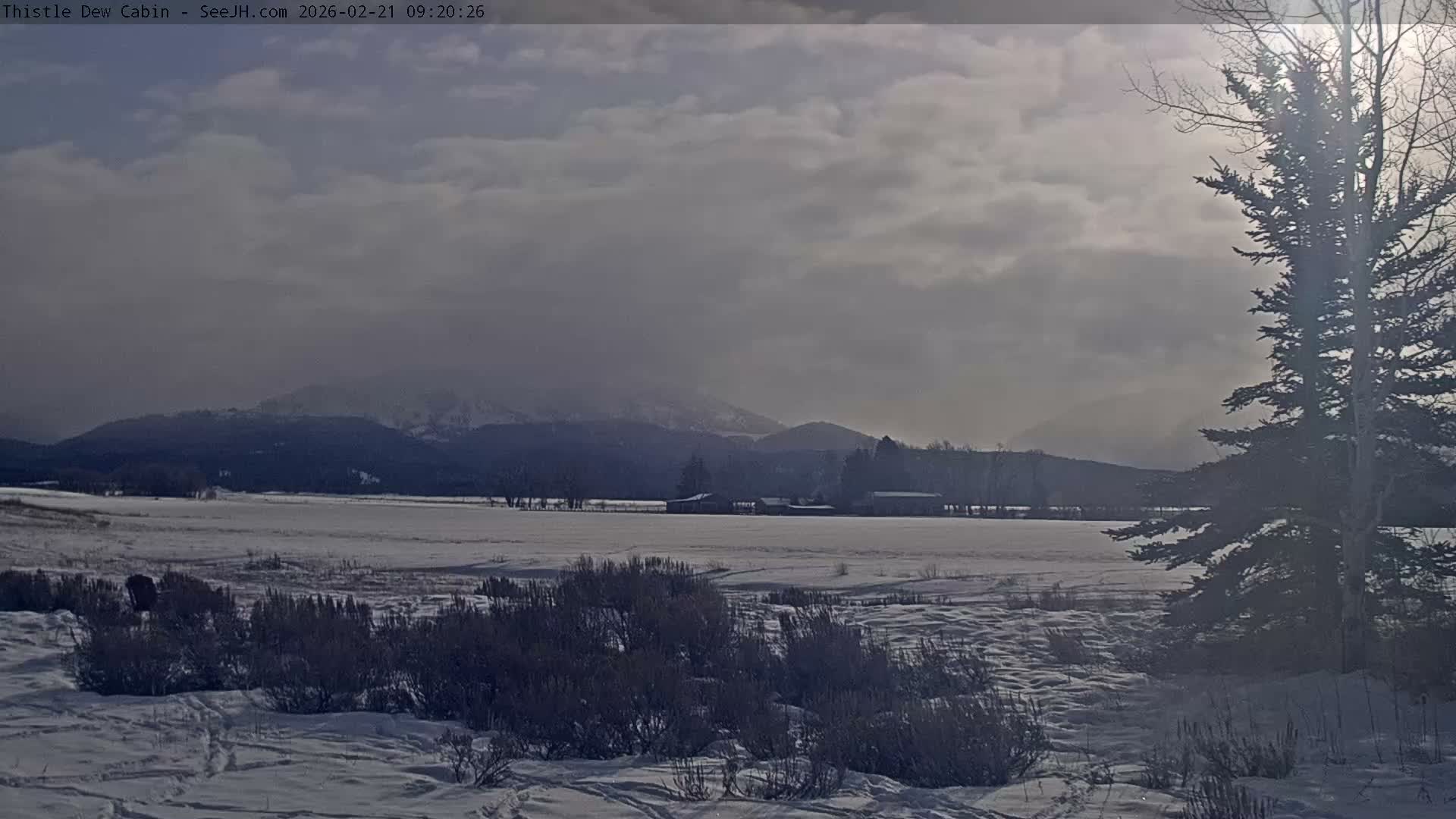 Grand Teton Mountains Peaks from Teton Valley Thistle Dew Cabin Live Cam - Tetonia, Teton, Idaho, USA