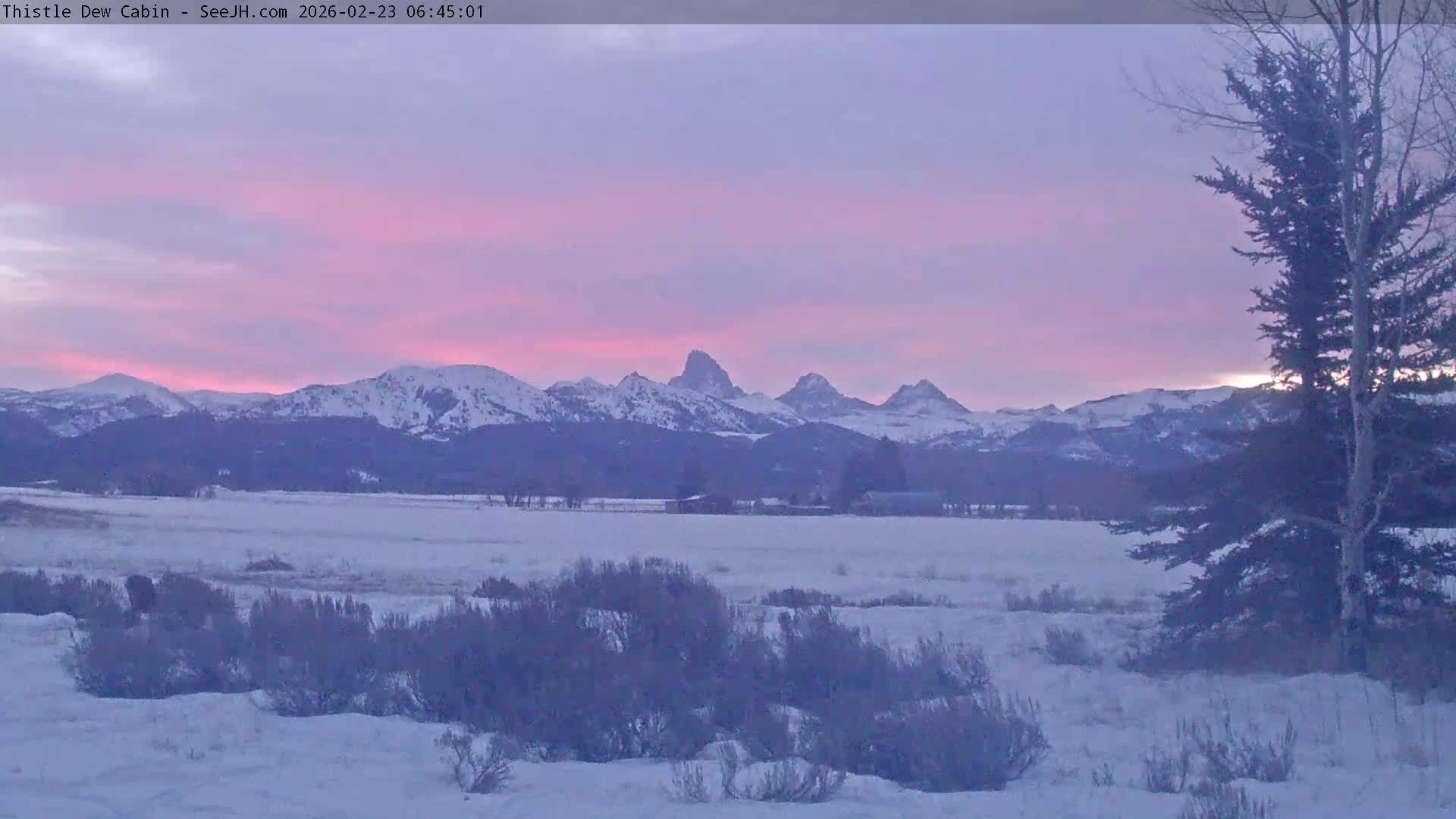 Grand Teton Mountains Peaks from Teton Valley Thistle Dew Cabin Live Cam - Tetonia, Teton, Idaho, USA