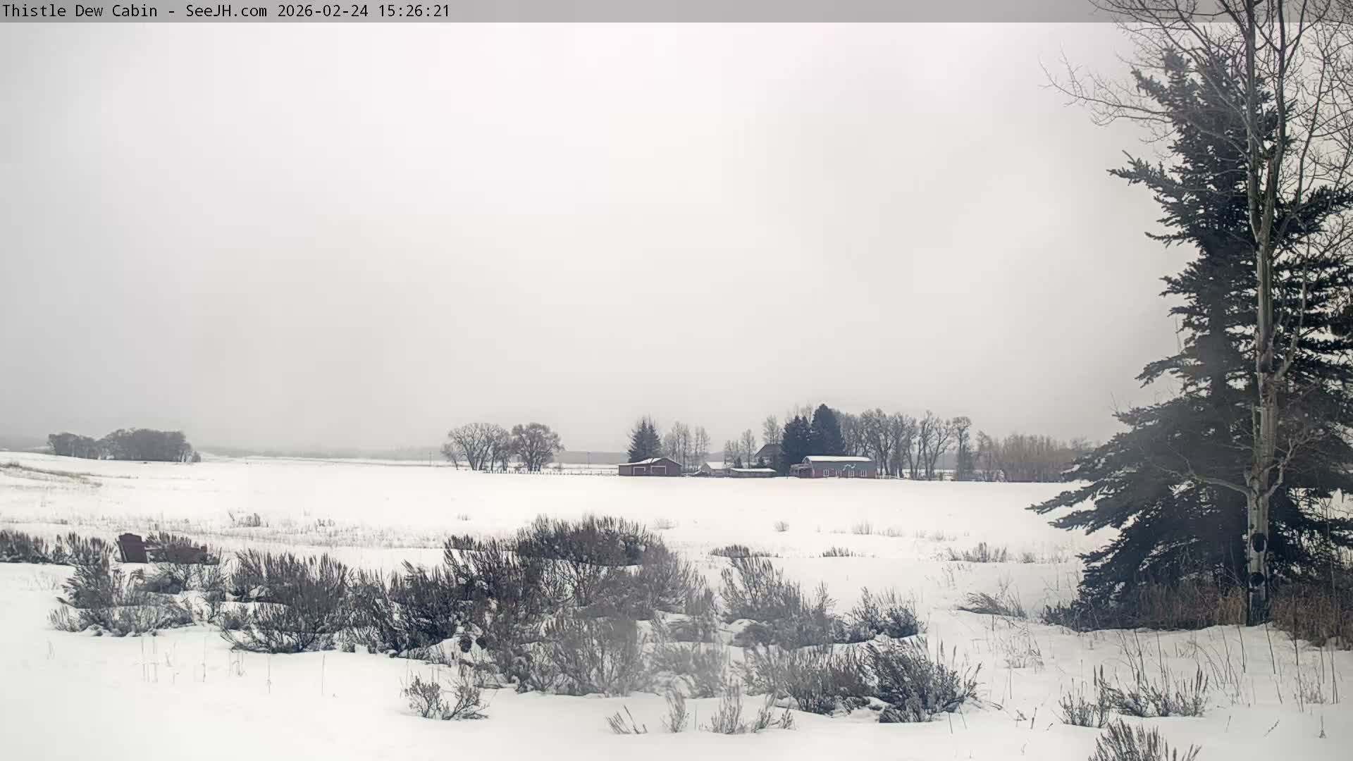 Grand Teton Mountains Peaks from Teton Valley Thistle Dew Cabin Live Cam - Tetonia, Teton, Idaho, USA