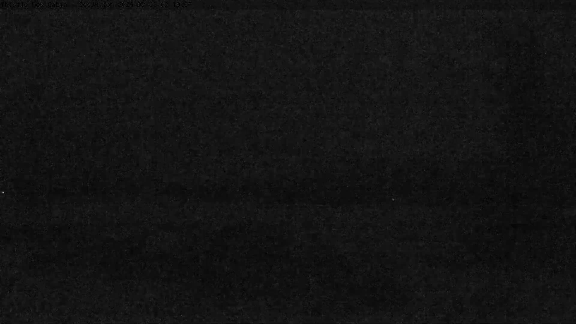 Grand Teton Mountains Peaks from Teton Valley Thistle Dew Cabin Live Cam - Tetonia, Teton, Idaho, USA