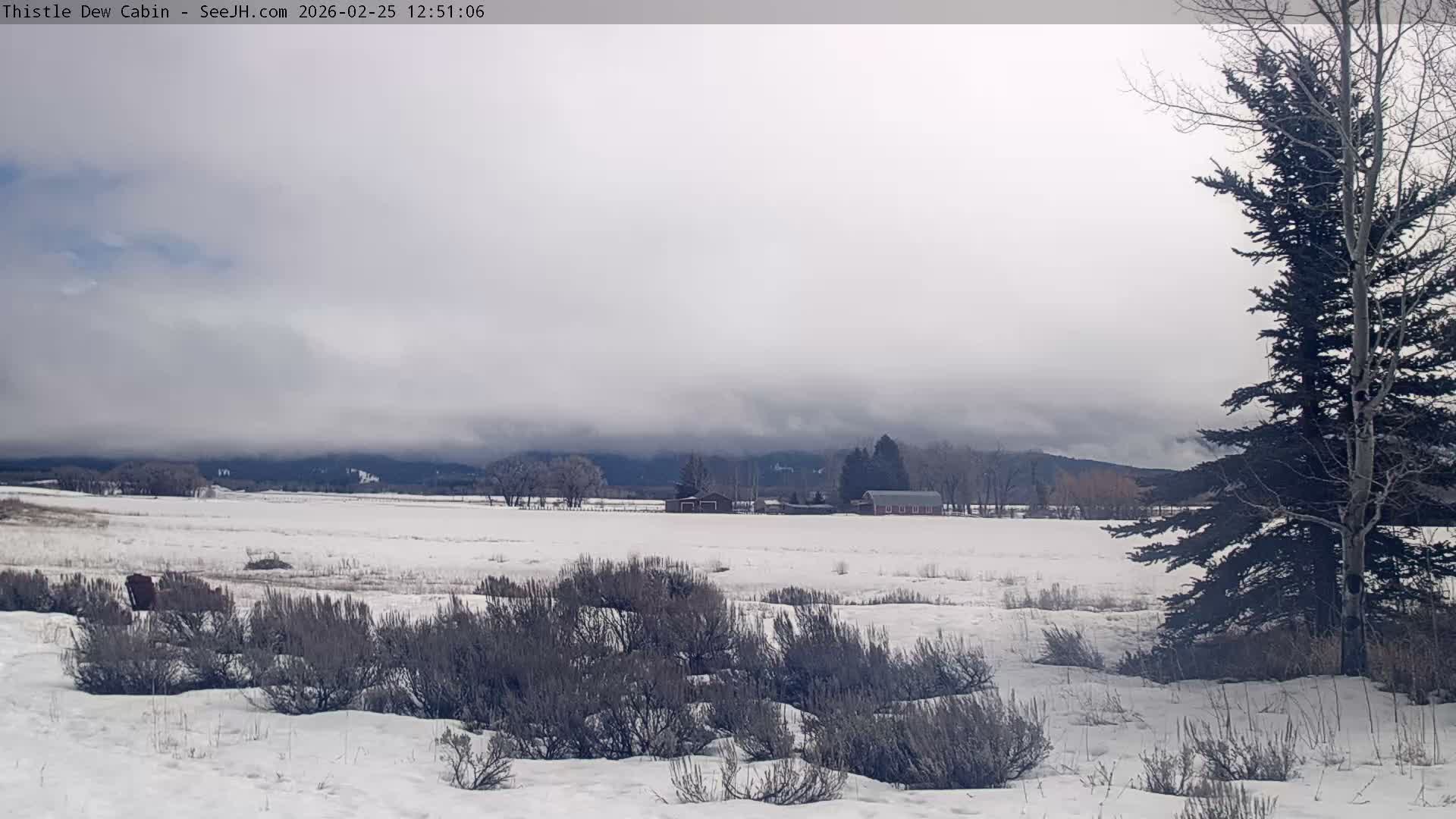 Grand Teton Mountains Peaks from Teton Valley Thistle Dew Cabin Live Cam - Tetonia, Teton, Idaho, USA