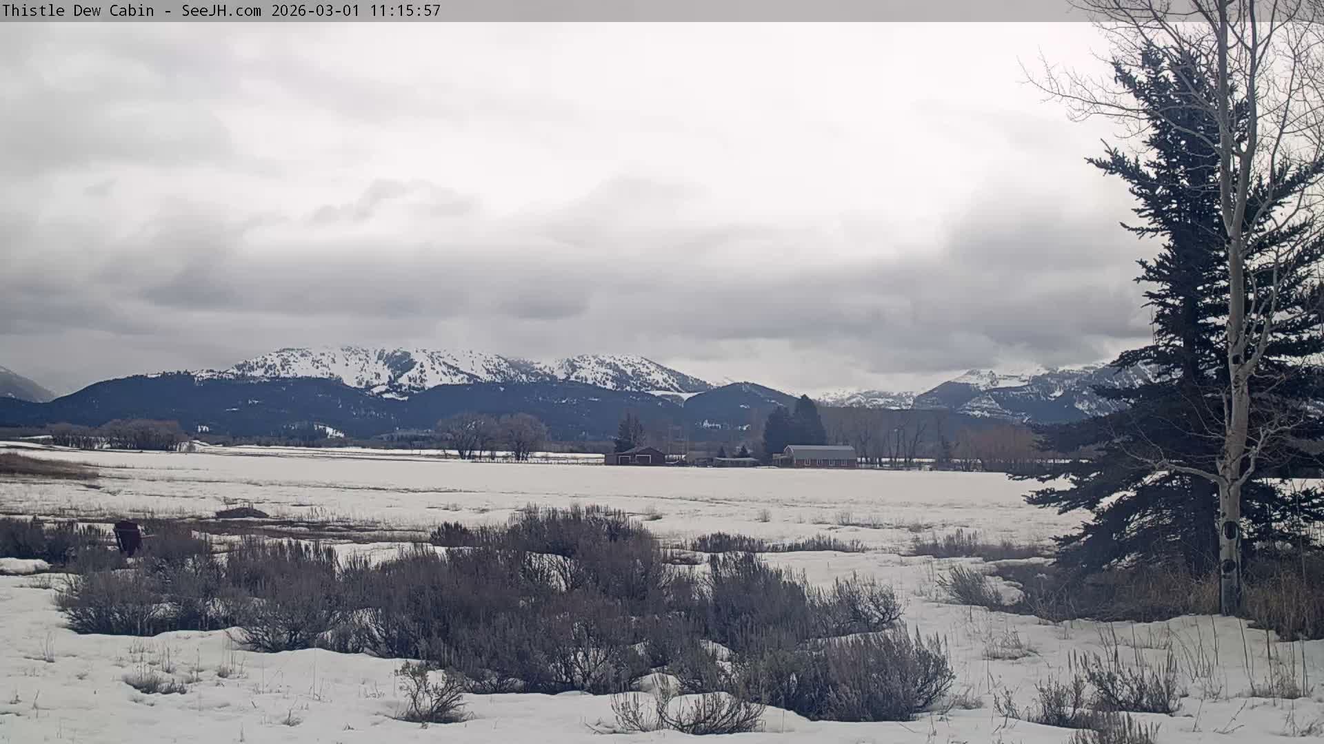 Grand Teton Mountains Peaks from Teton Valley Thistle Dew Cabin Live Cam - Tetonia, Teton, Idaho, USA