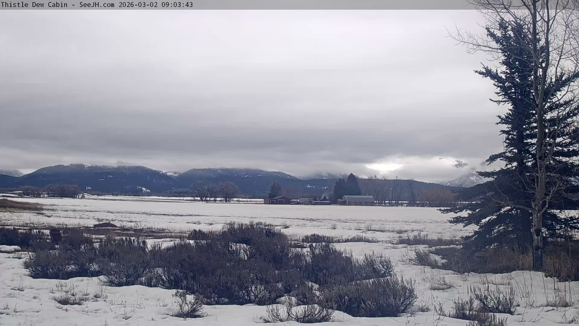 Grand Teton Mountains Peaks from Teton Valley Thistle Dew Cabin Live Cam - Tetonia, Teton, Idaho, USA