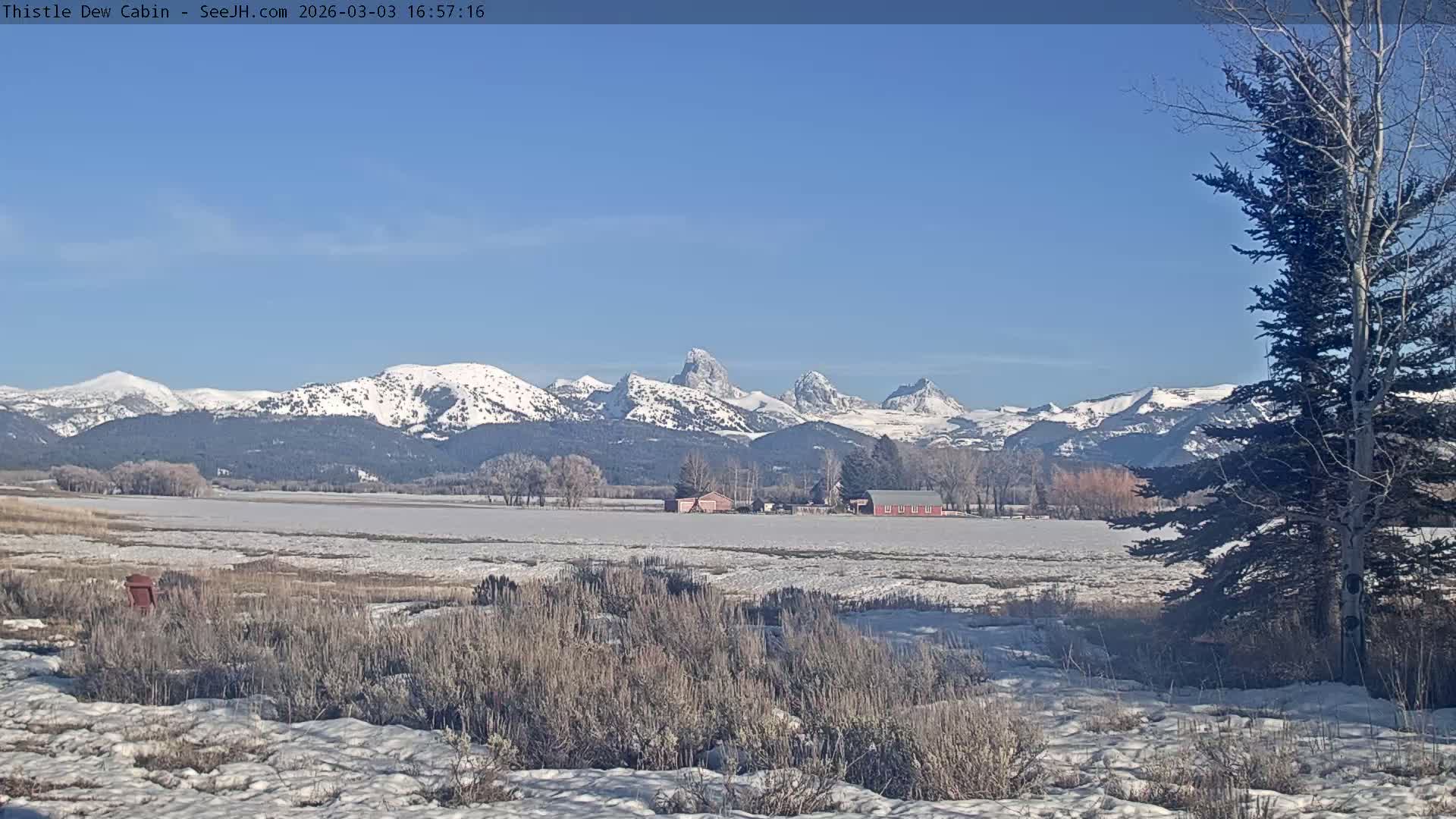 Grand Teton Mountains Peaks from Teton Valley Thistle Dew Cabin Live Cam - Tetonia, Teton, Idaho, USA