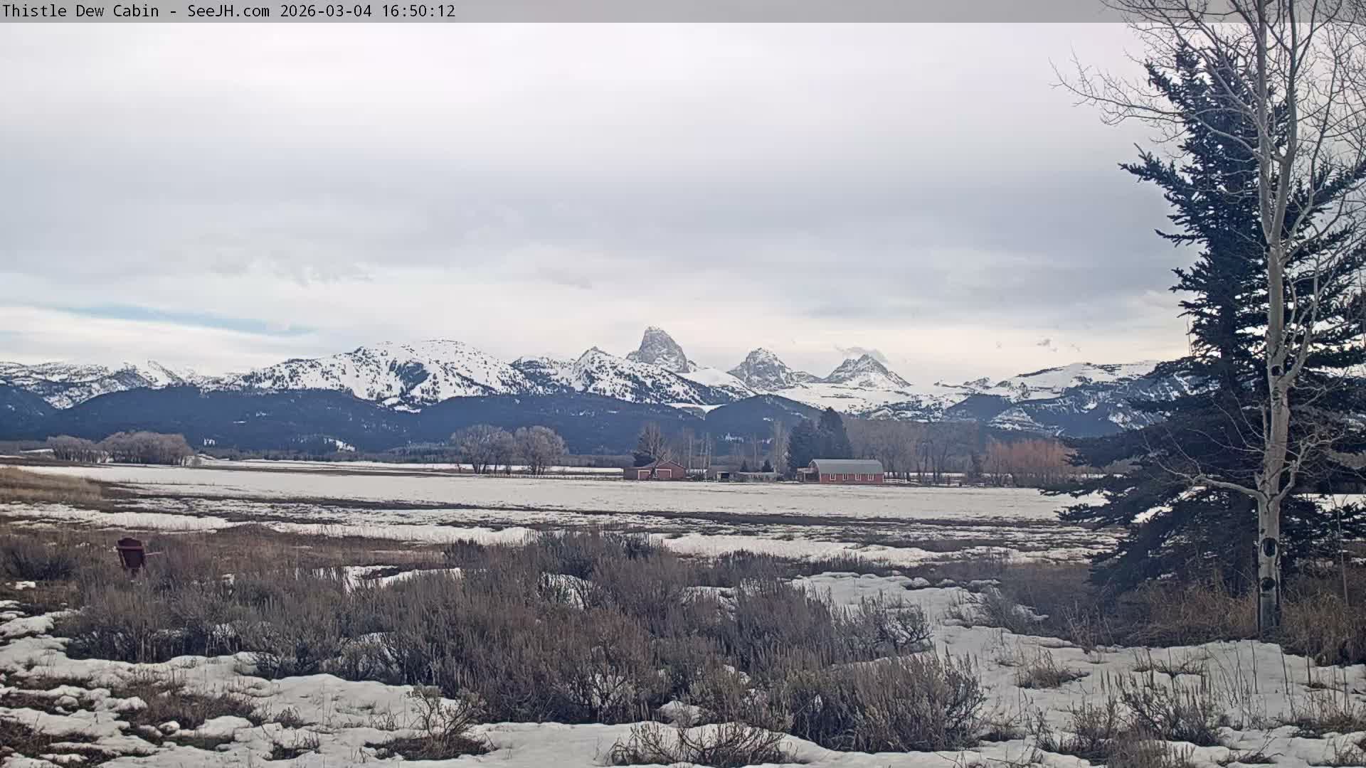 Grand Teton Mountains Peaks from Teton Valley Thistle Dew Cabin Live Cam - Tetonia, Teton, Idaho, USA