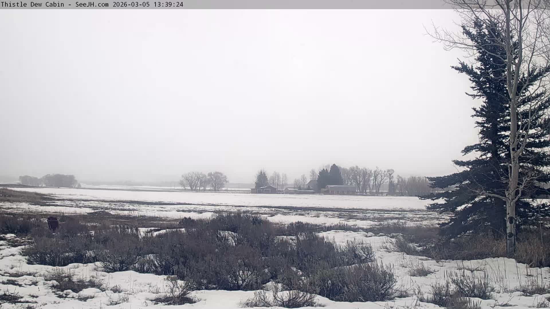 Grand Teton Mountains Peaks from Teton Valley Thistle Dew Cabin Live Cam - Tetonia, Teton, Idaho, USA