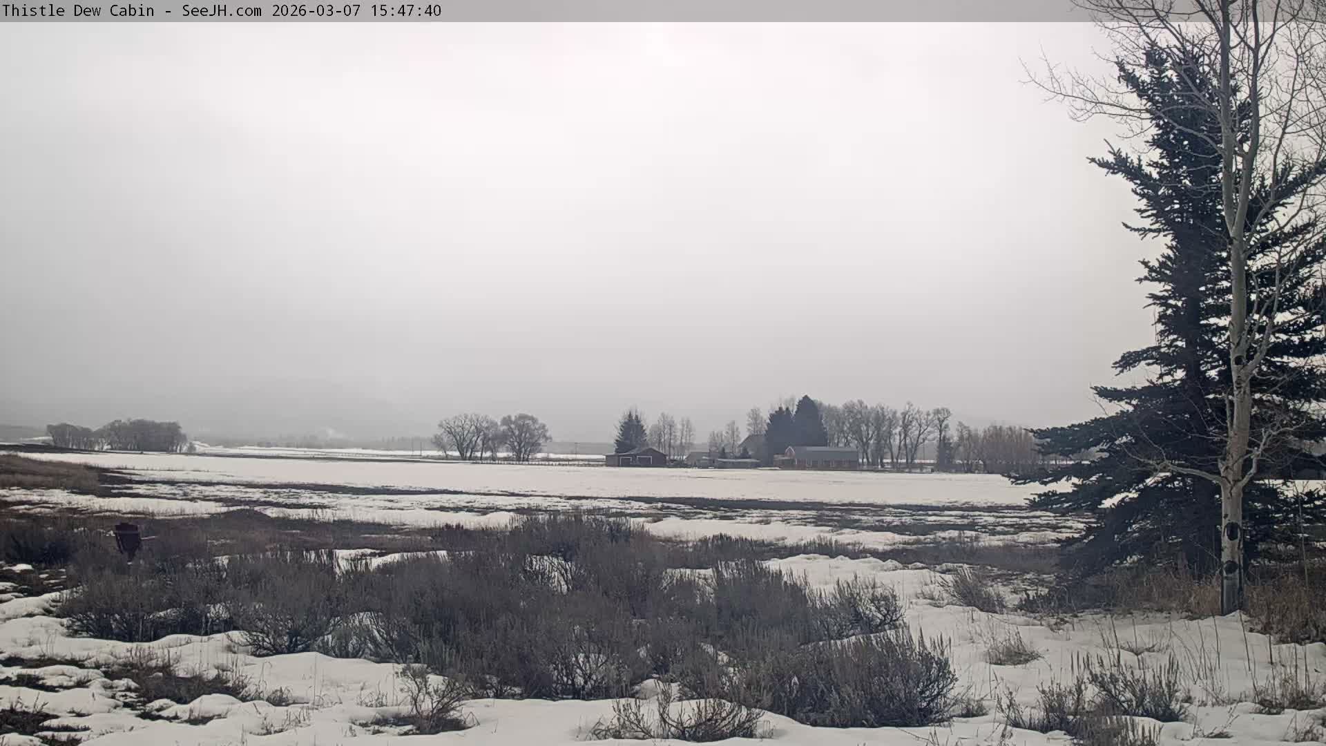 Grand Teton Mountains Peaks from Teton Valley Thistle Dew Cabin Live Cam - Tetonia, Teton, Idaho, USA