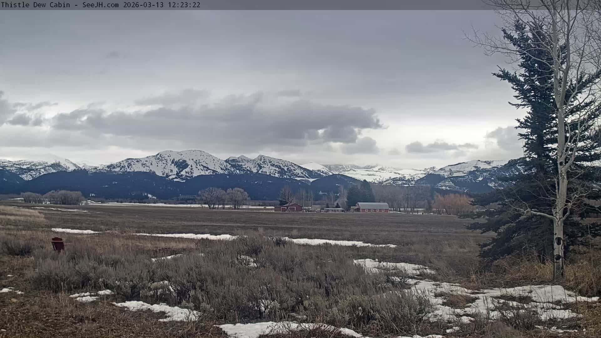 Grand Teton Mountains Peaks from Teton Valley Thistle Dew Cabin Live Cam - Tetonia, Teton, Idaho, USA