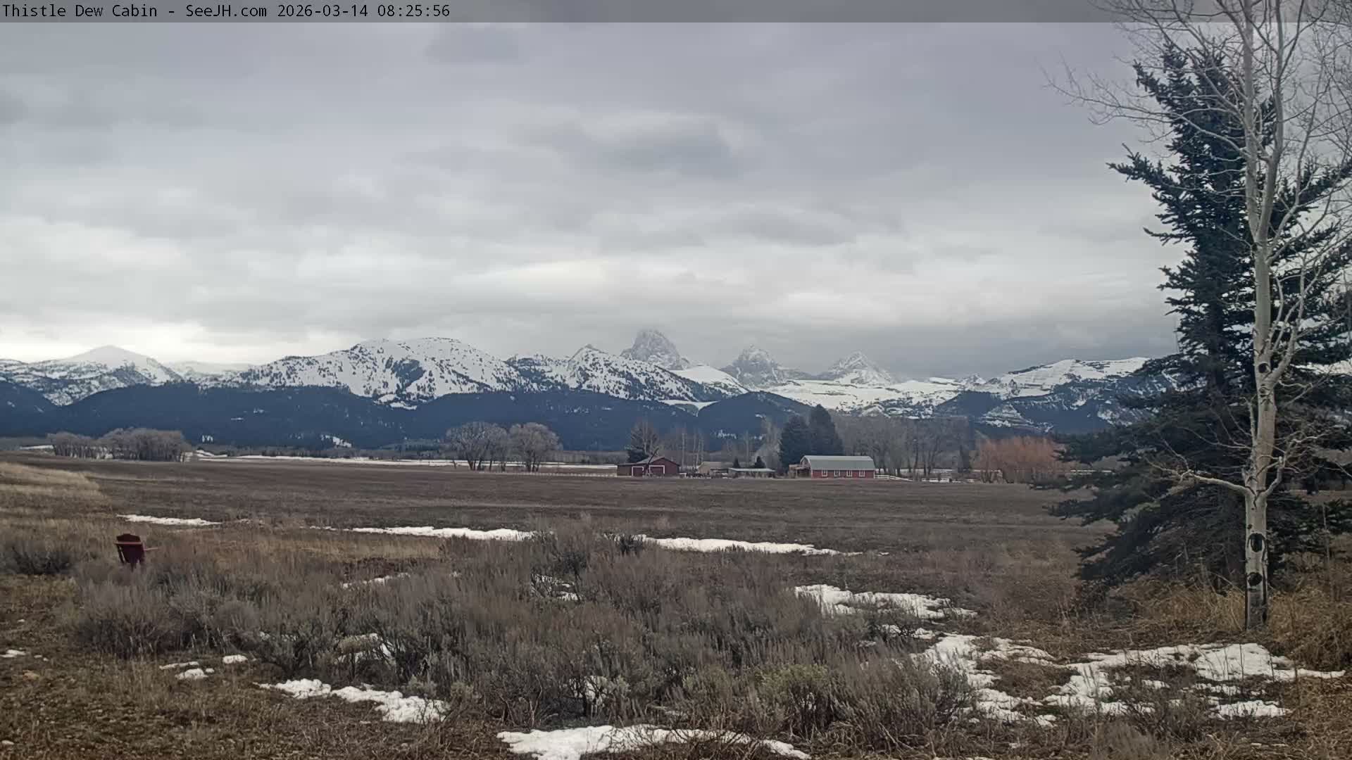 Grand Teton Mountains Peaks from Teton Valley Thistle Dew Cabin Live Cam - Tetonia, Teton, Idaho, USA